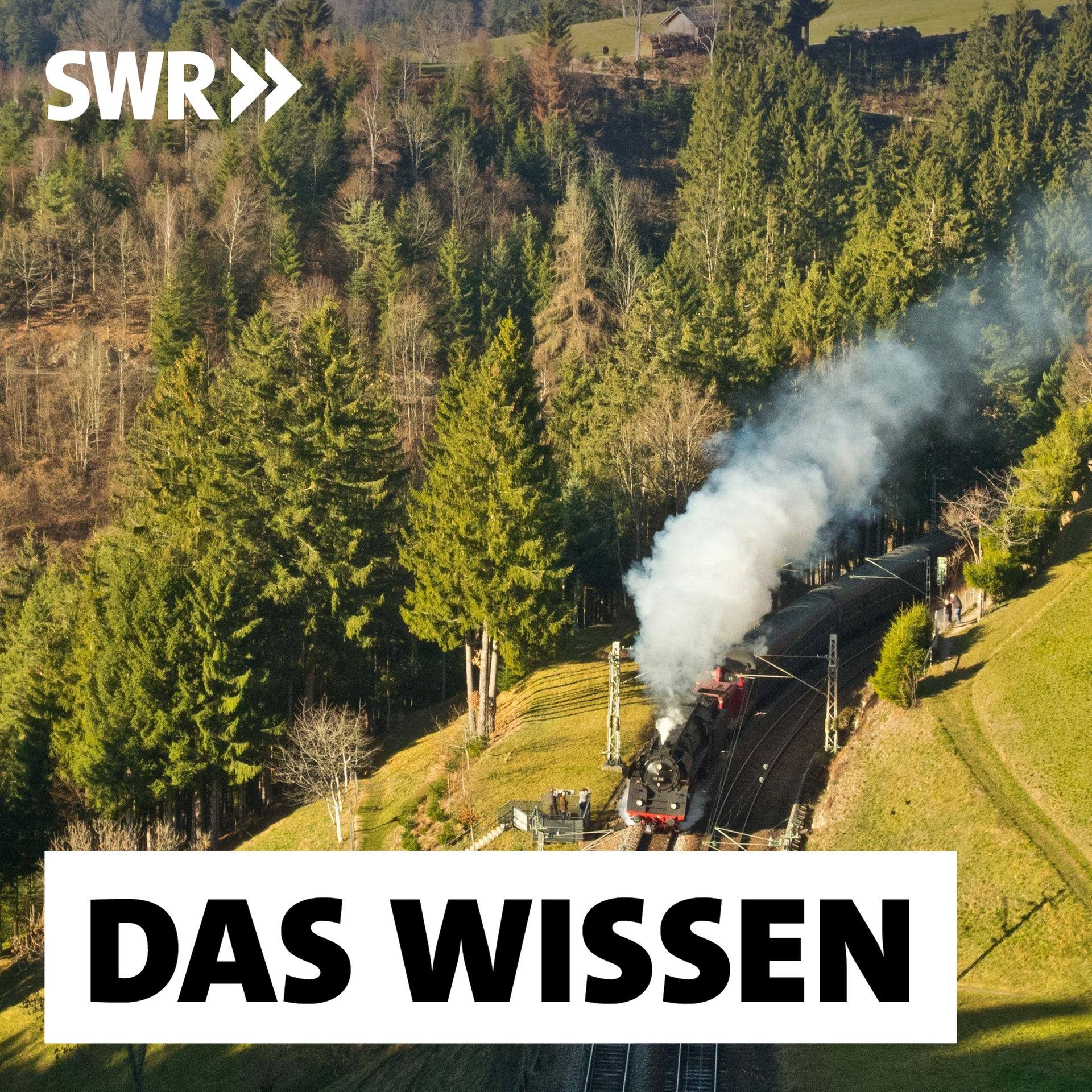 Die Schwarzwaldbahn – Vorbild für Gebirgsbahnen weltweit