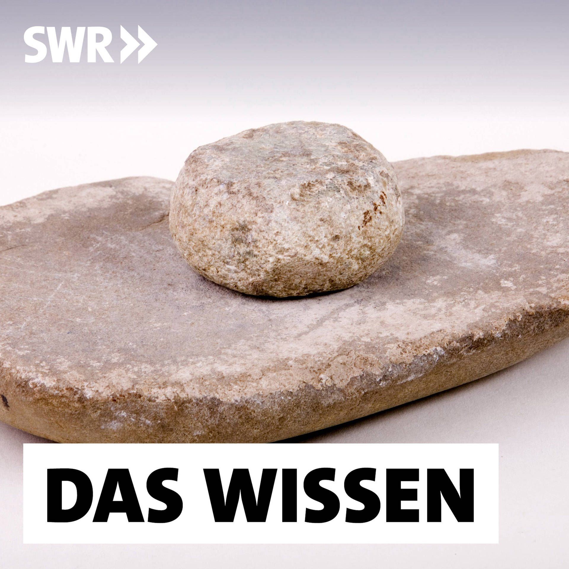 Eine Revolution in der Jungsteinzeit | Wie der Mensch sesshaft wurde, erzählt der Archäologe Raiko Krauß