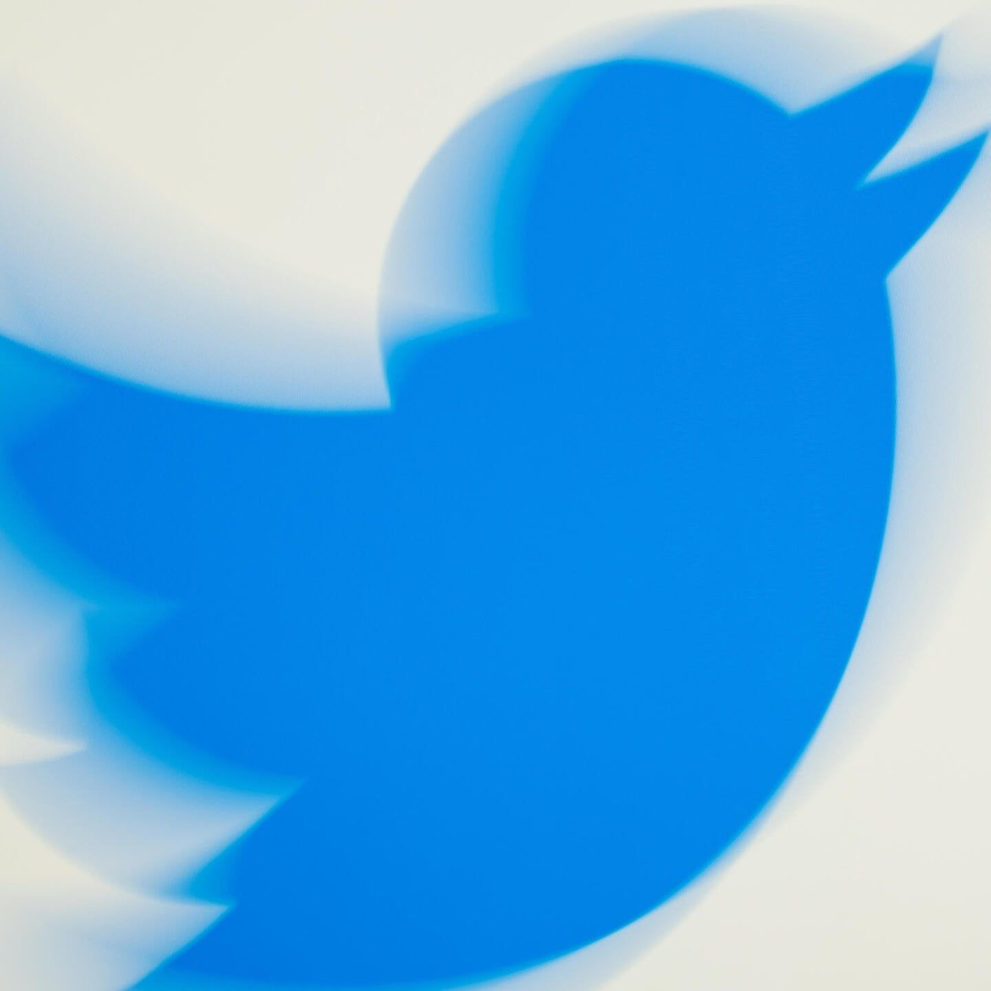 Die Tierdocs: Twittervogel