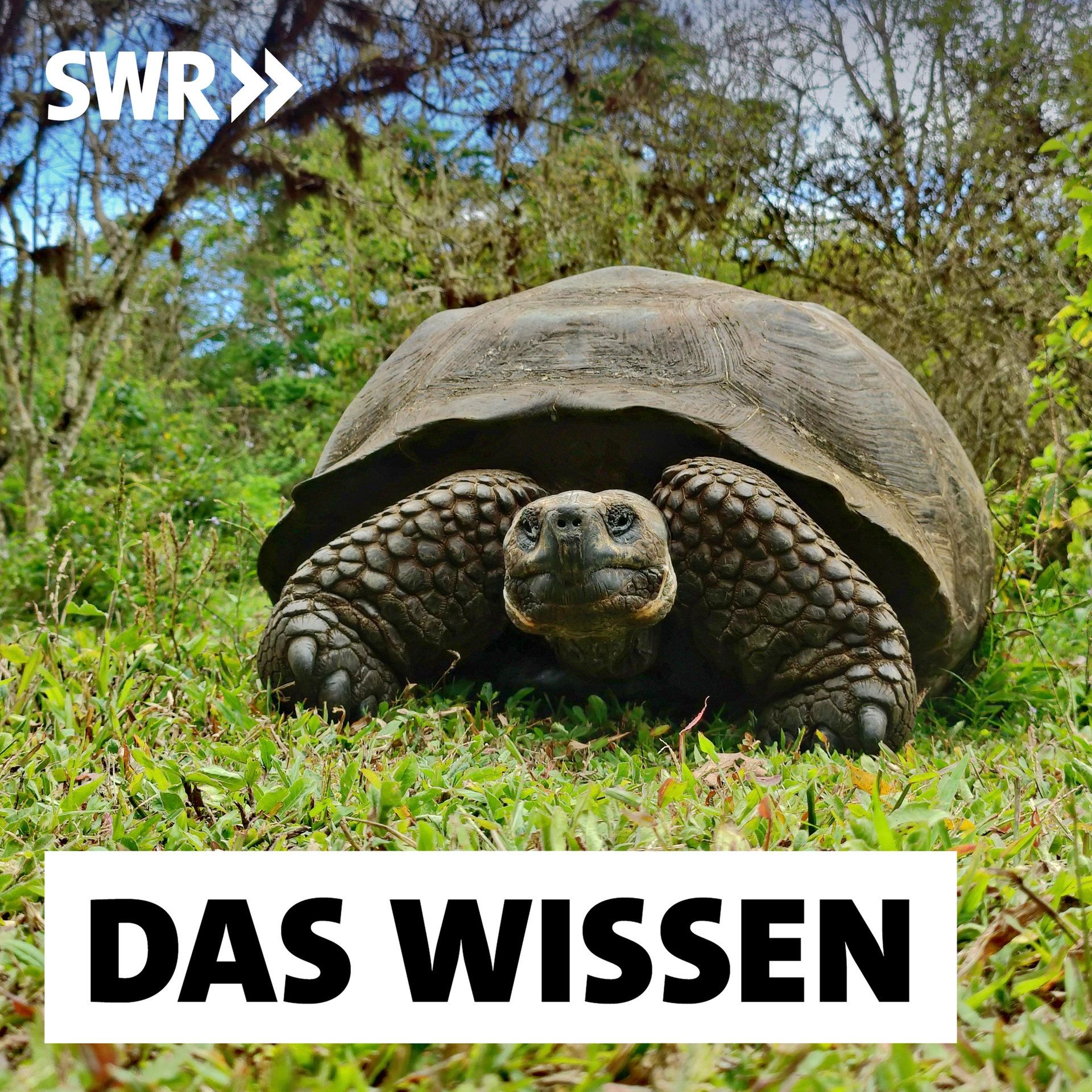 Galapagos – Naturschutz, Tourismus, Drogenschmuggel