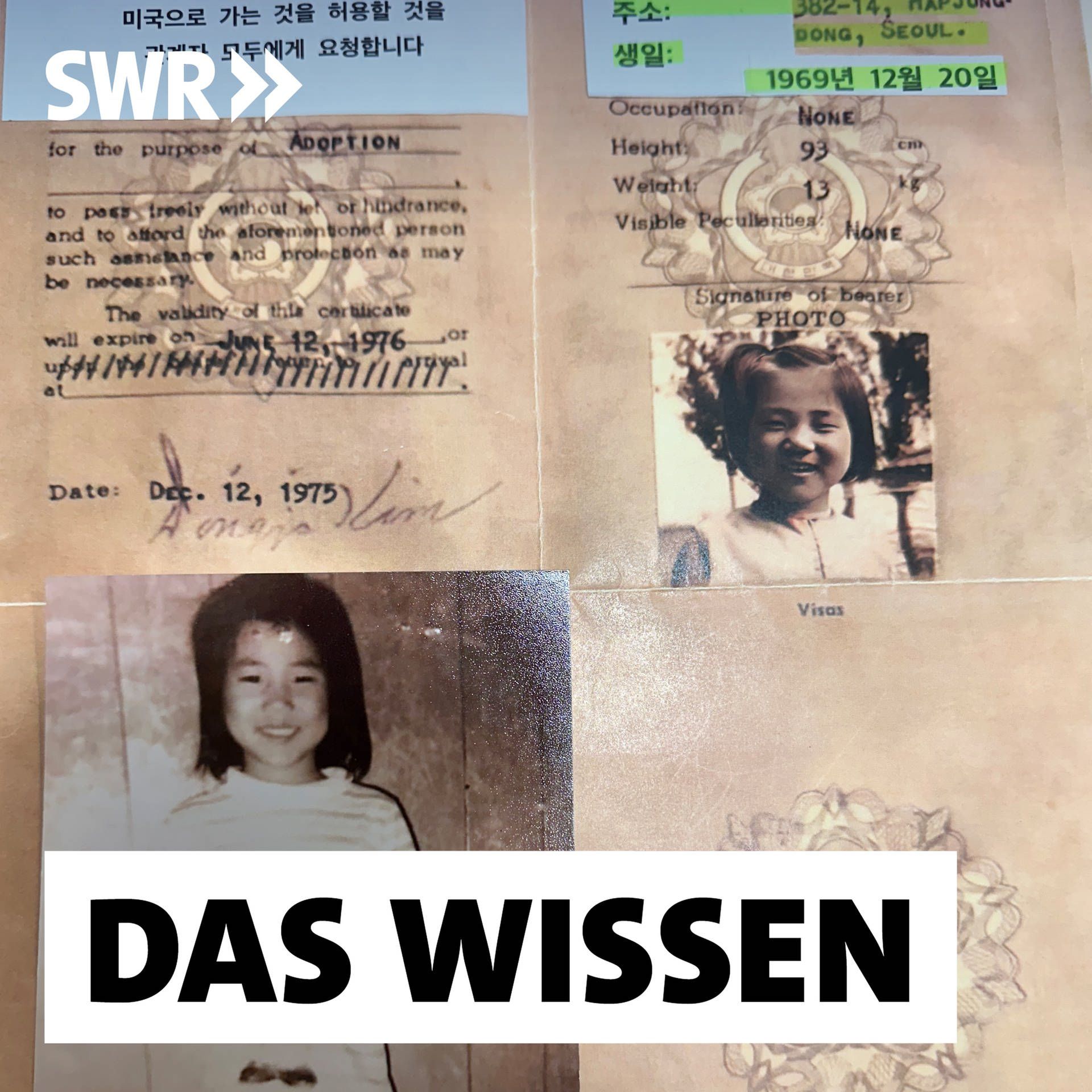 Südkorea und die Auslandsadoptionen – Aufarbeitung der Vergangenheit
