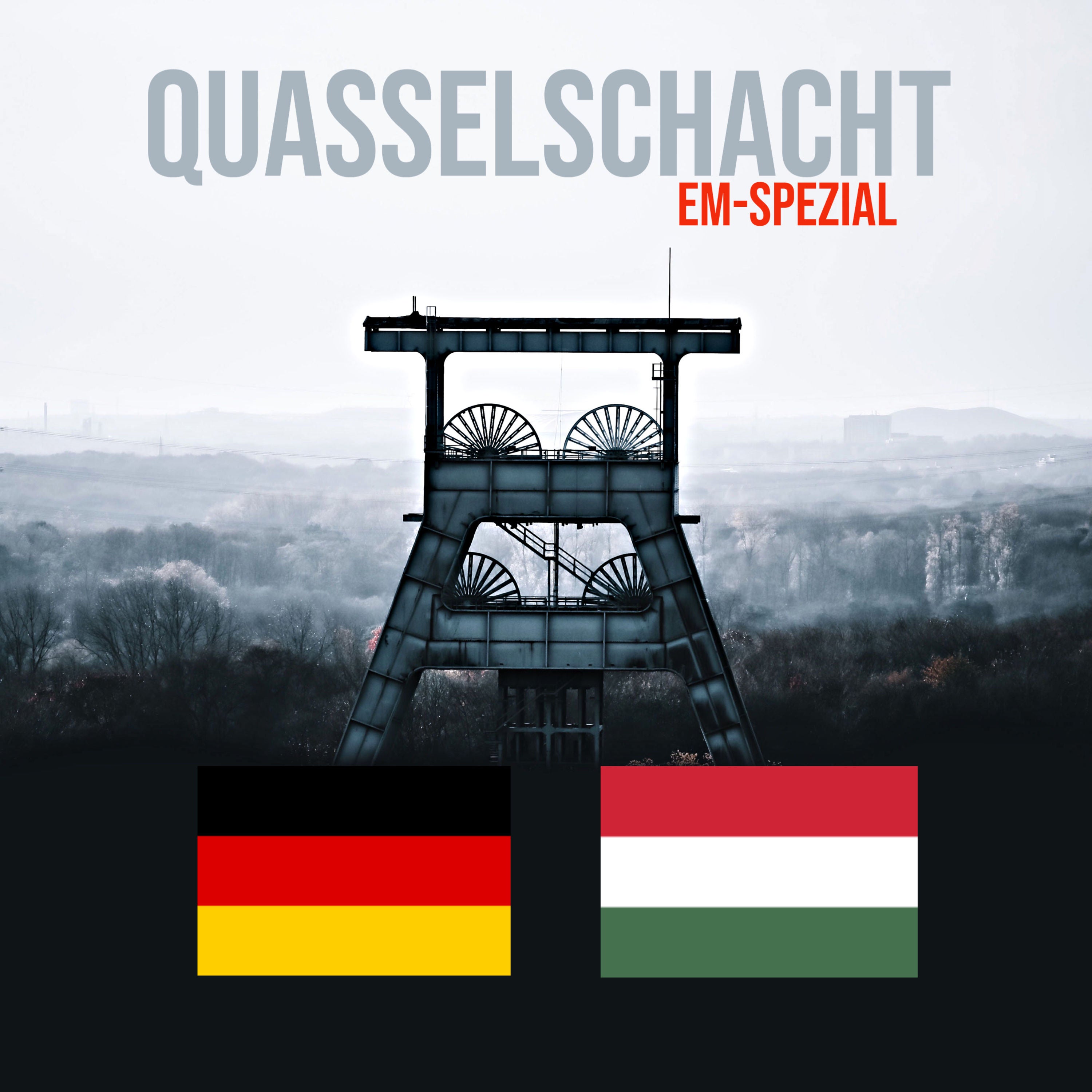 EM Spezial Deutschland gegen Ungarn
