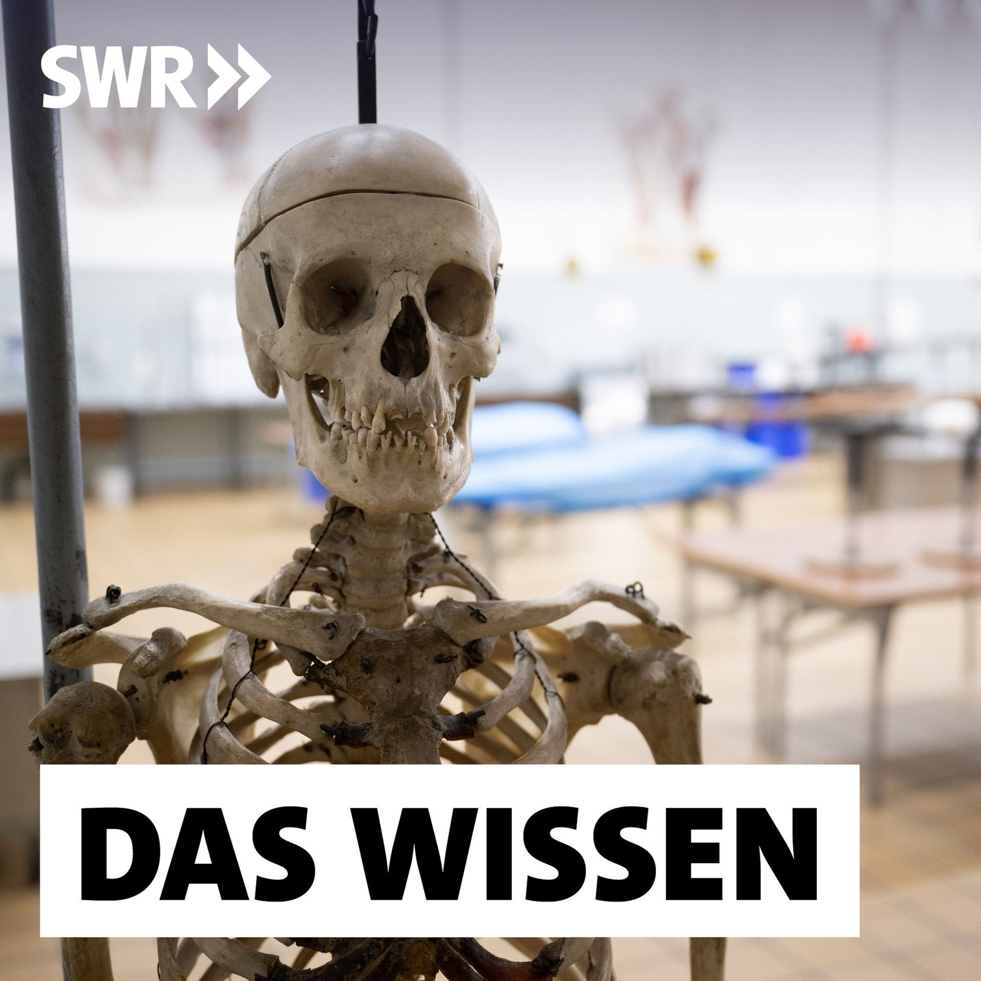 Körperspenden – Nach dem Tod der Wissenschaft dienen