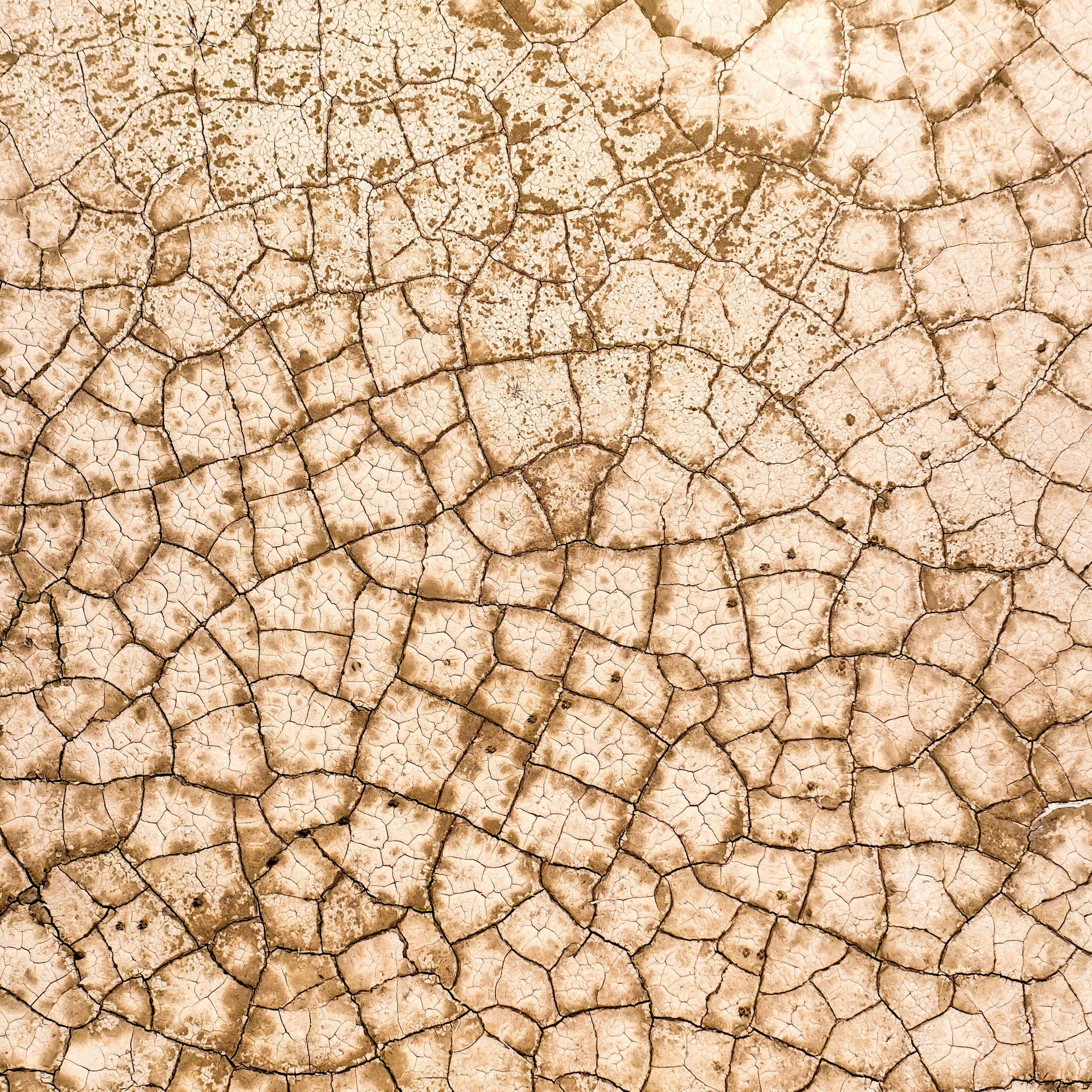 Wasser als Waffe – Wie die Türkei gegen Kurden in Syrien vorgeht