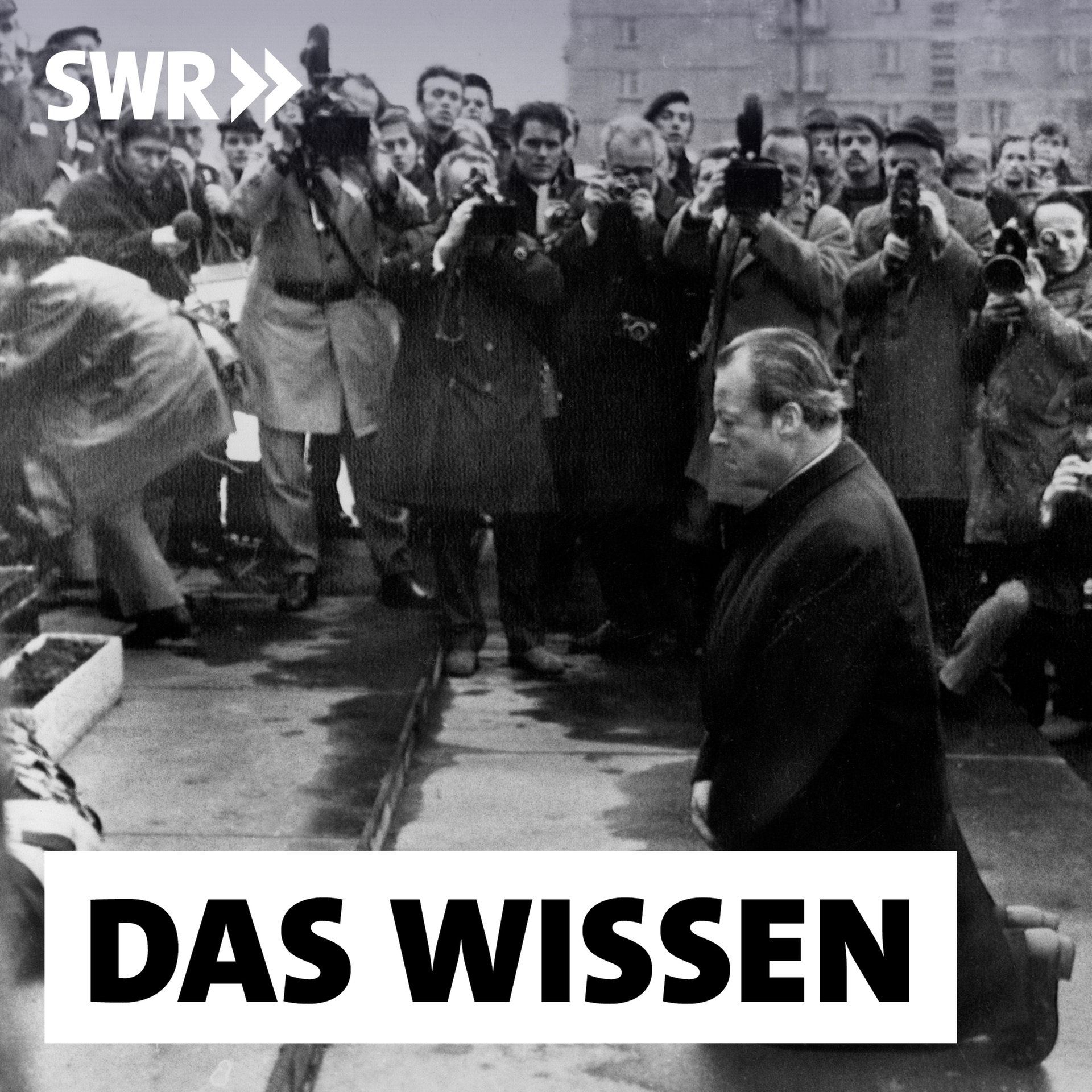 Entschuldigung in der Öffentlichkeit – Vom Kniefall zur Social Media-Floskel (1/2)