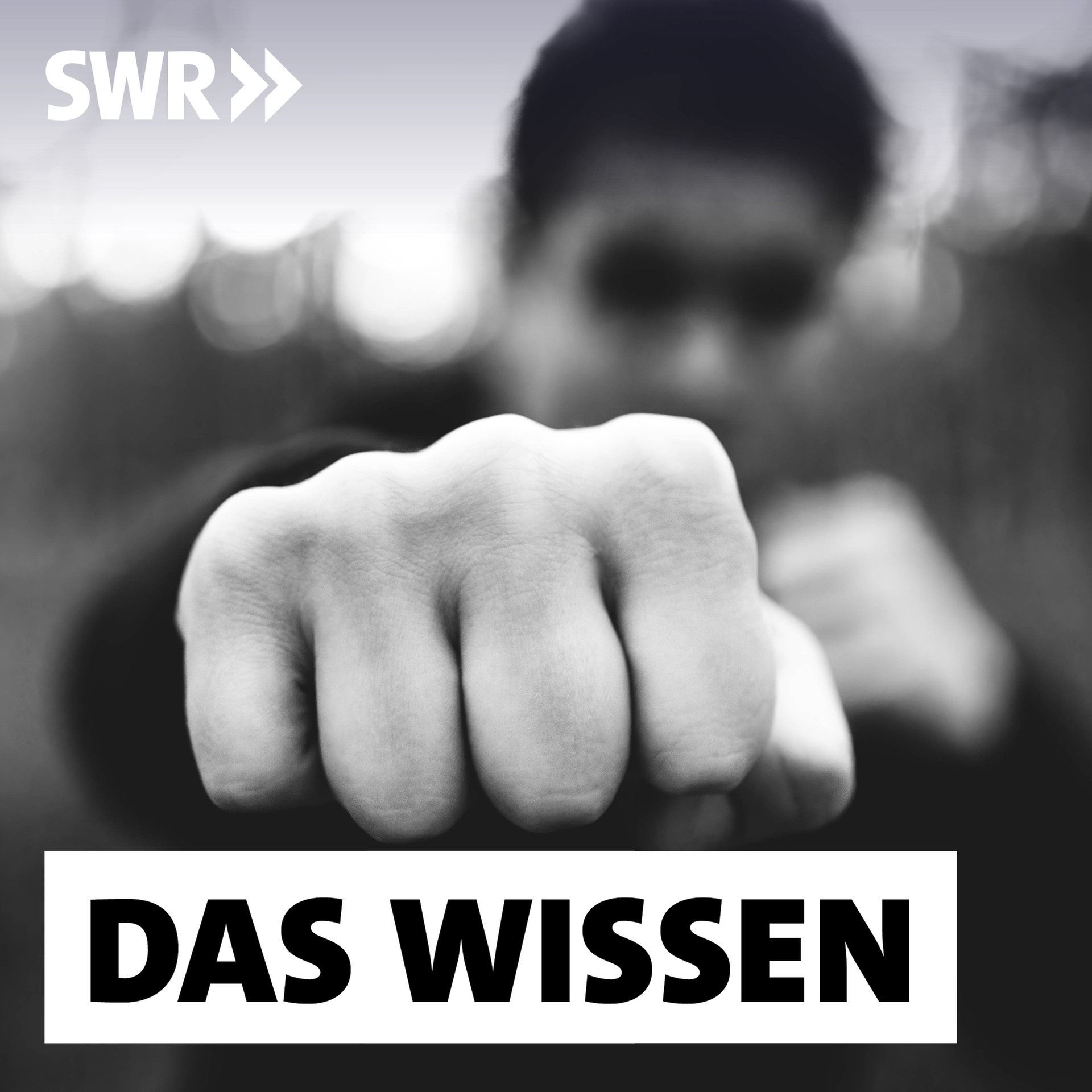 Rechtsextreme im Kampfsport – Trainieren für den Straßenkampf