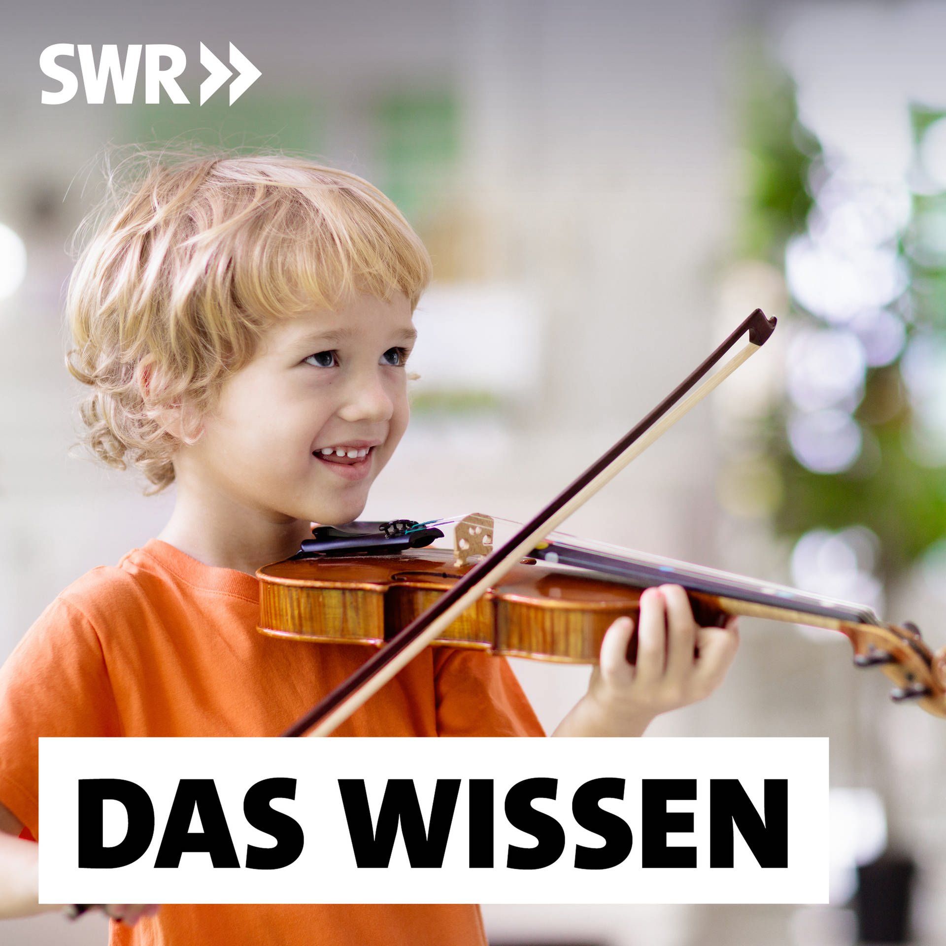 Talent und Training – Was zu Spitzenleistung führt