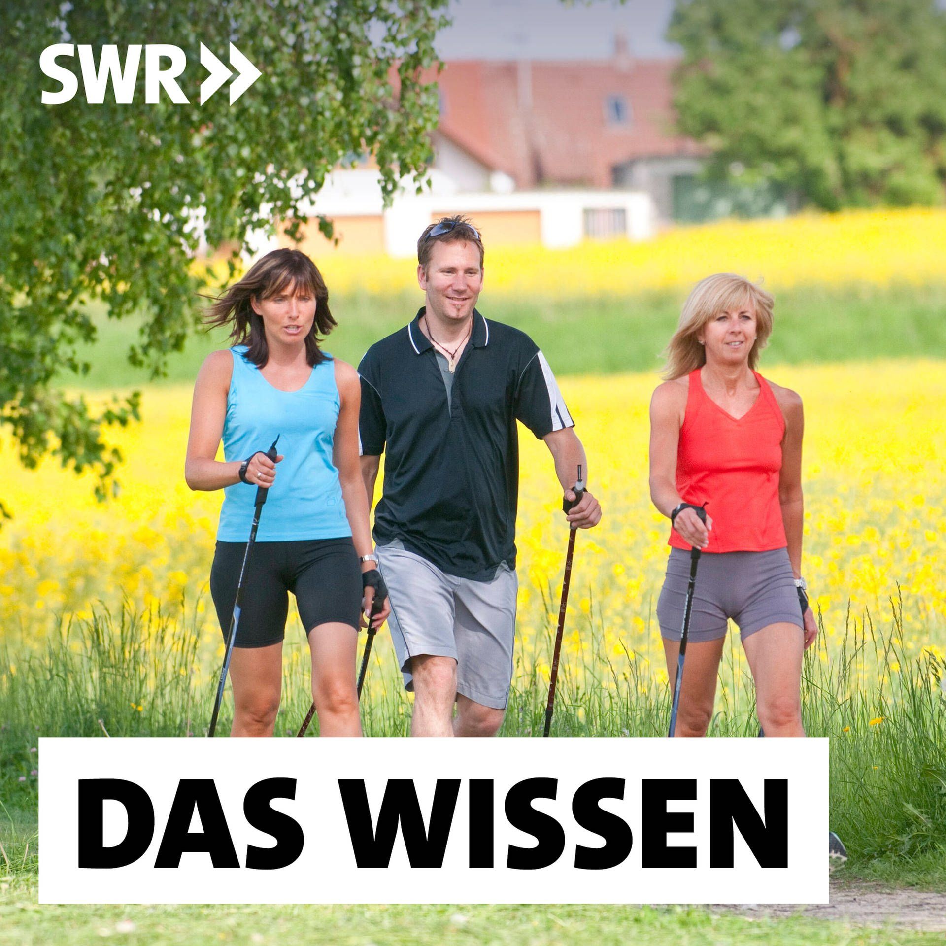 Richtig trainieren – Gesund bleiben durch Sport