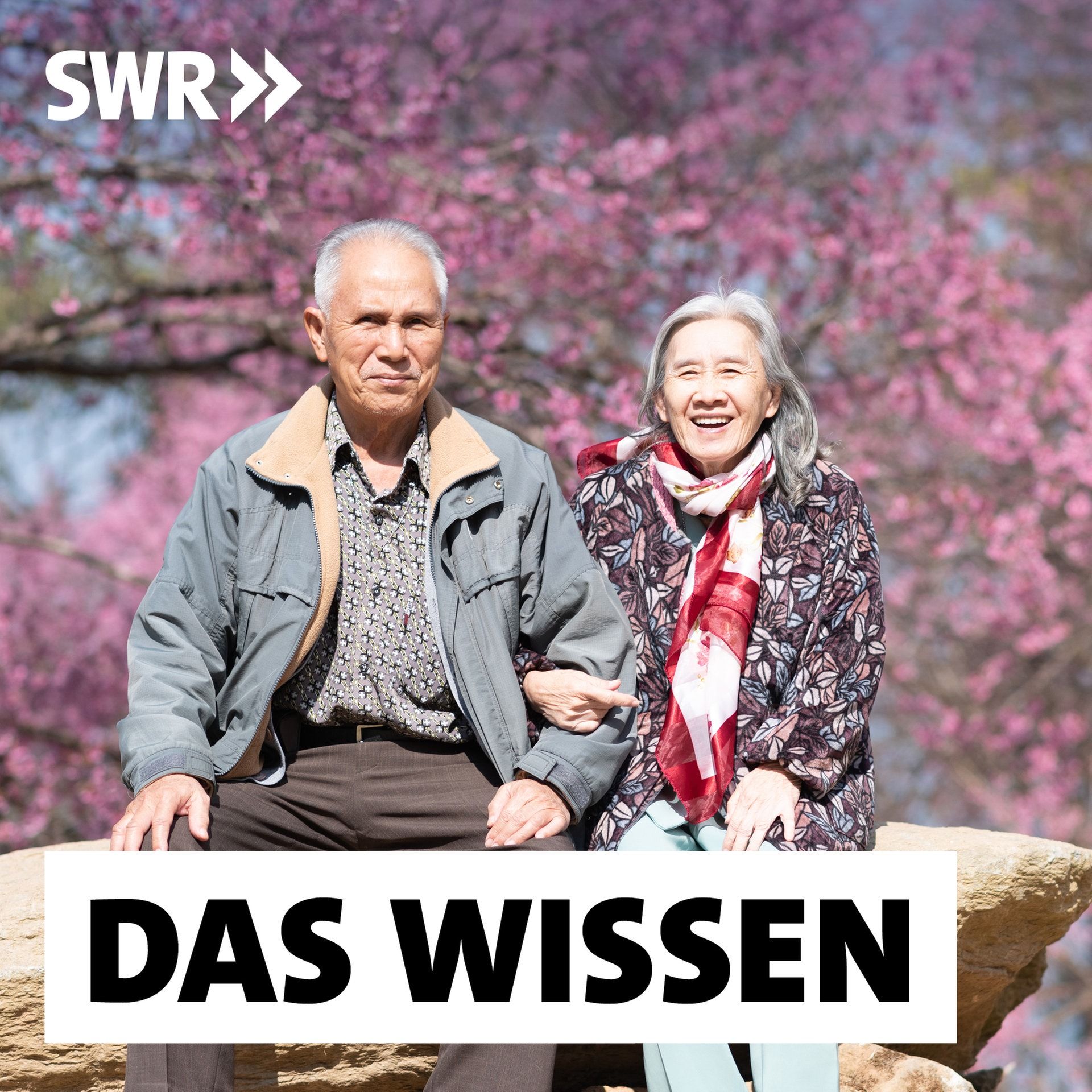 Japans Rezepte gegen das einsame Sterben