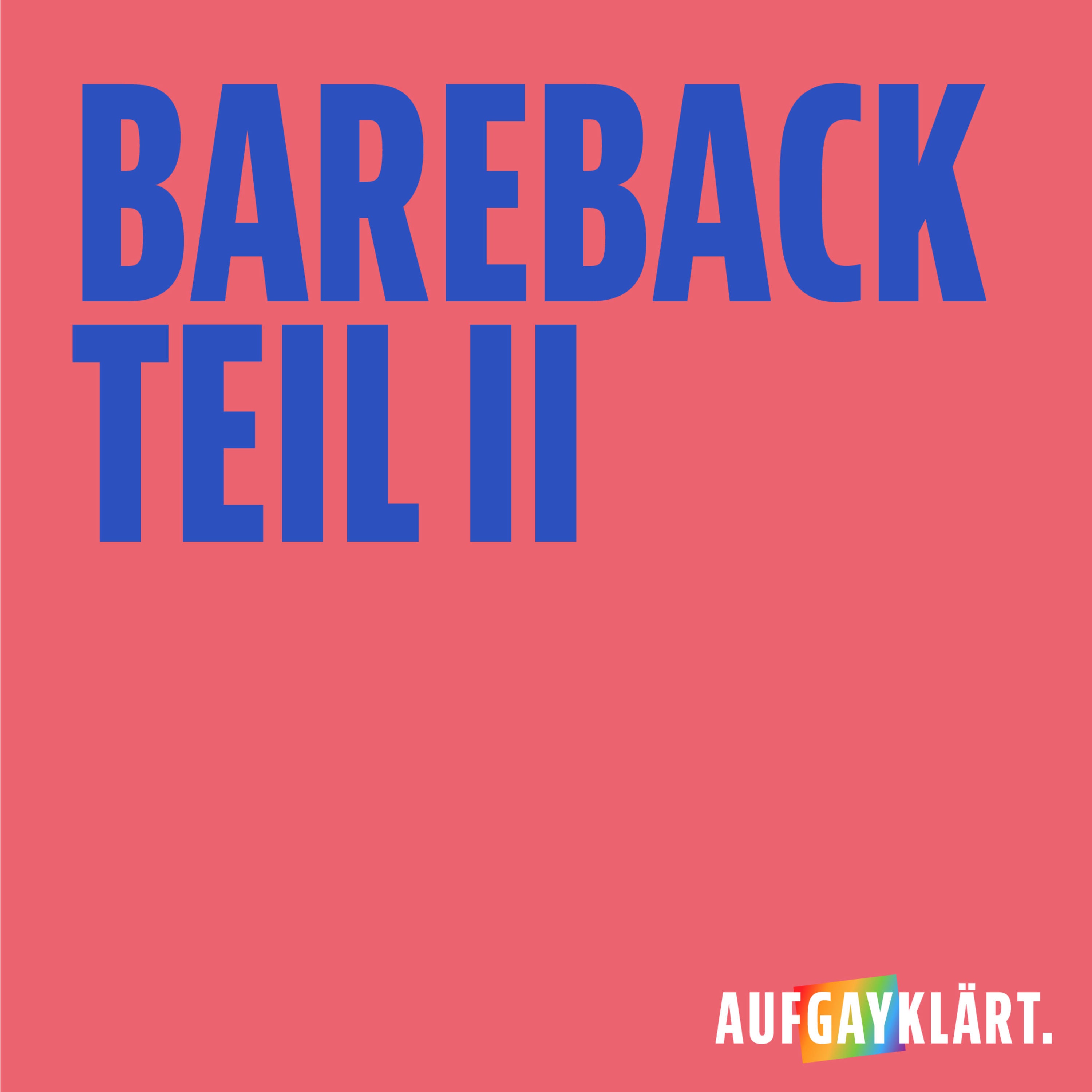 Bareback Teil 2
