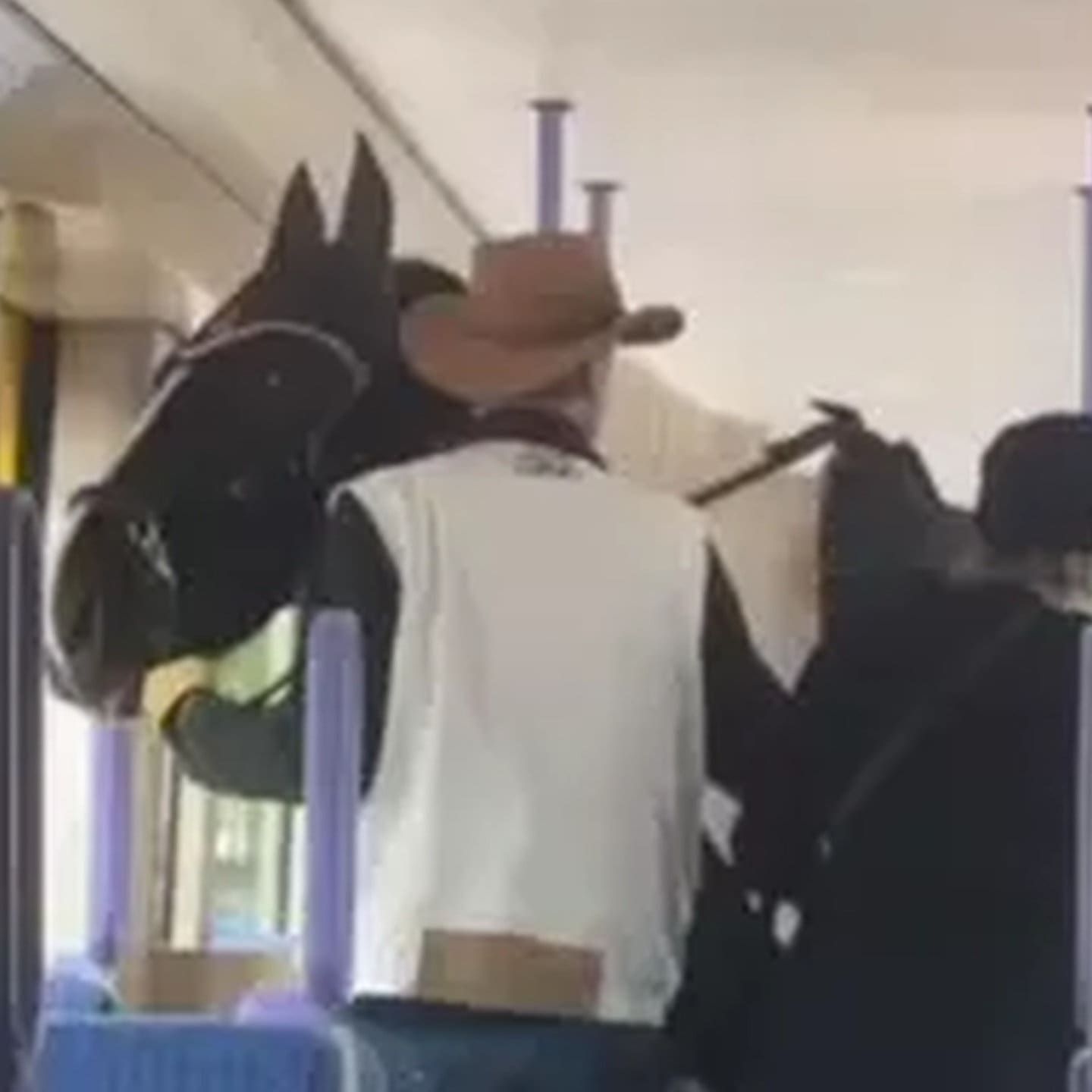 Cowboy mit Pferd in der S-Bahn