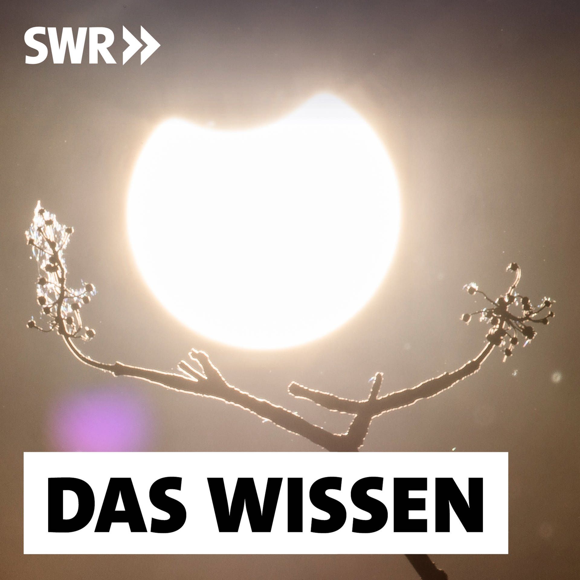Die Sonne – Stern des Lebens, der Energie und der Zerstörung
