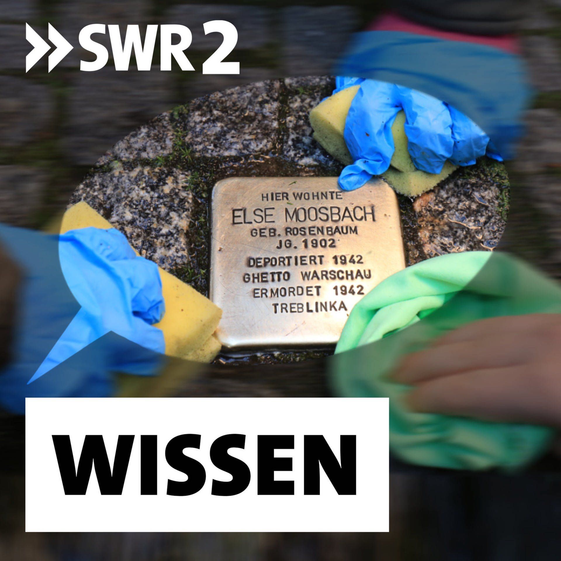 Über Antisemitismus sprechen (2/2) – Was Schulen tun können