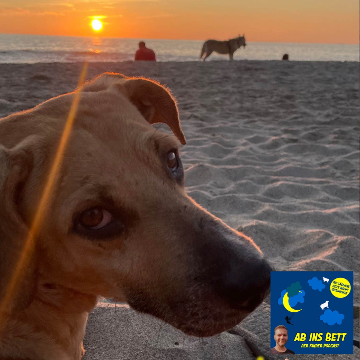 #1239 Diego und seine neuen Freunde
