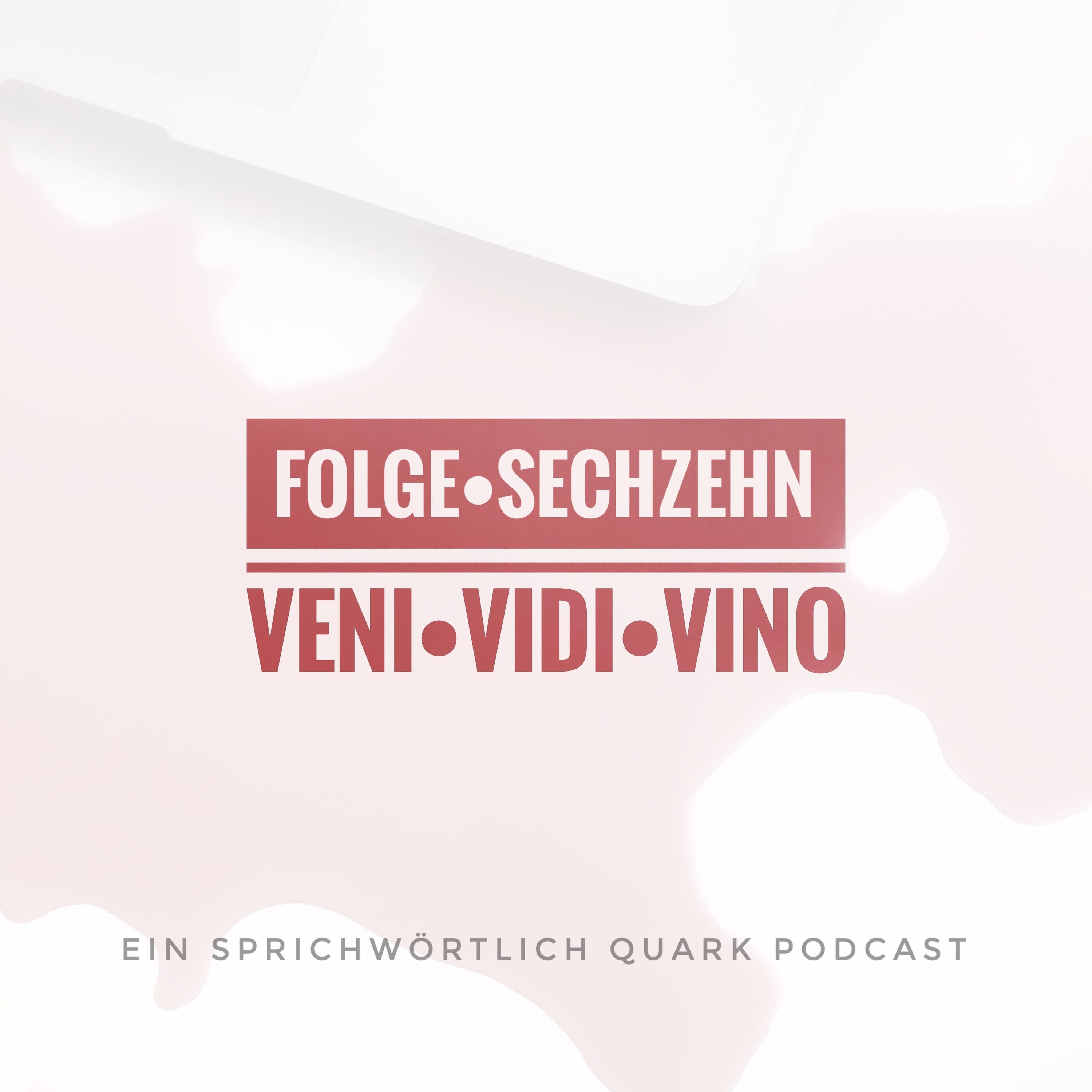 VENI VIDI VINO