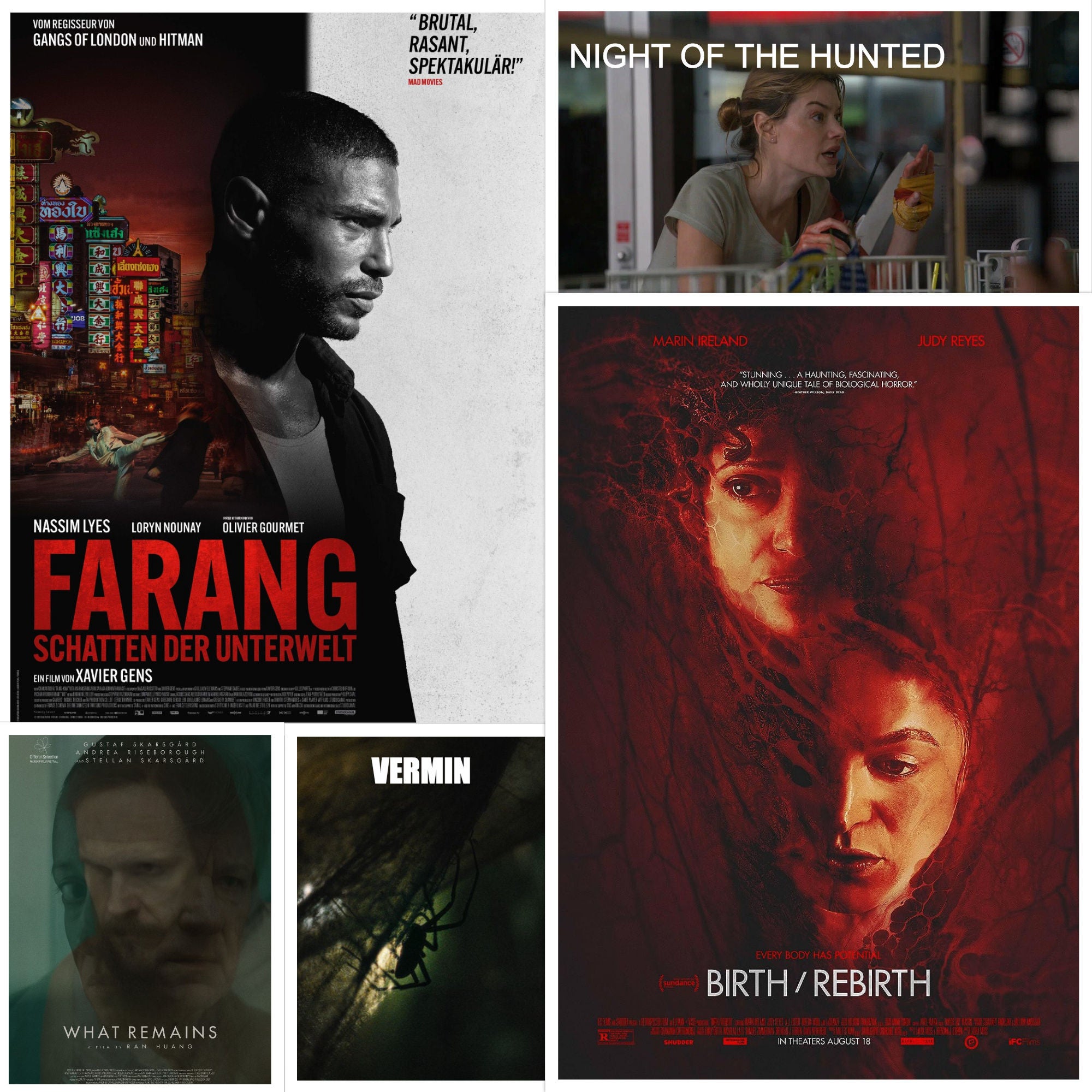 Special - Fantasy Filmfest 2023 / Teil 3