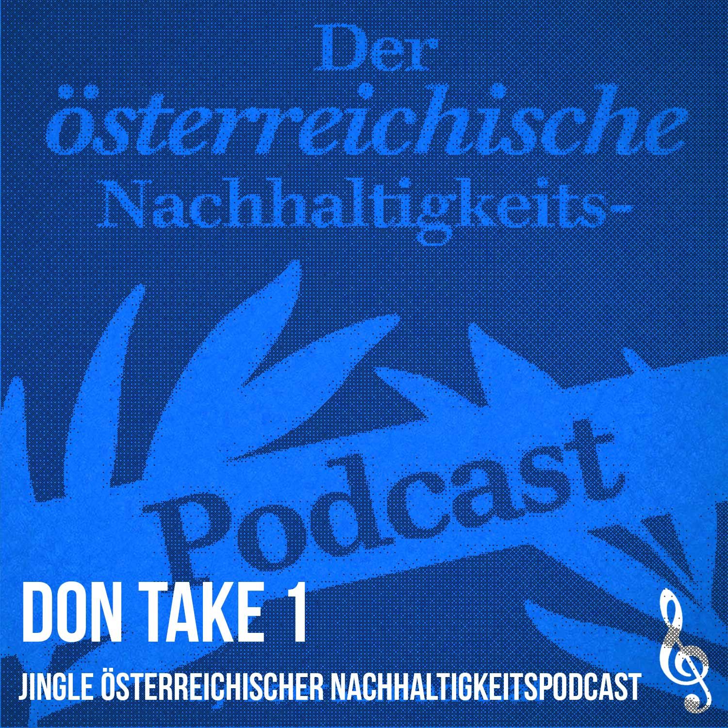Song #13: Don Take 1
