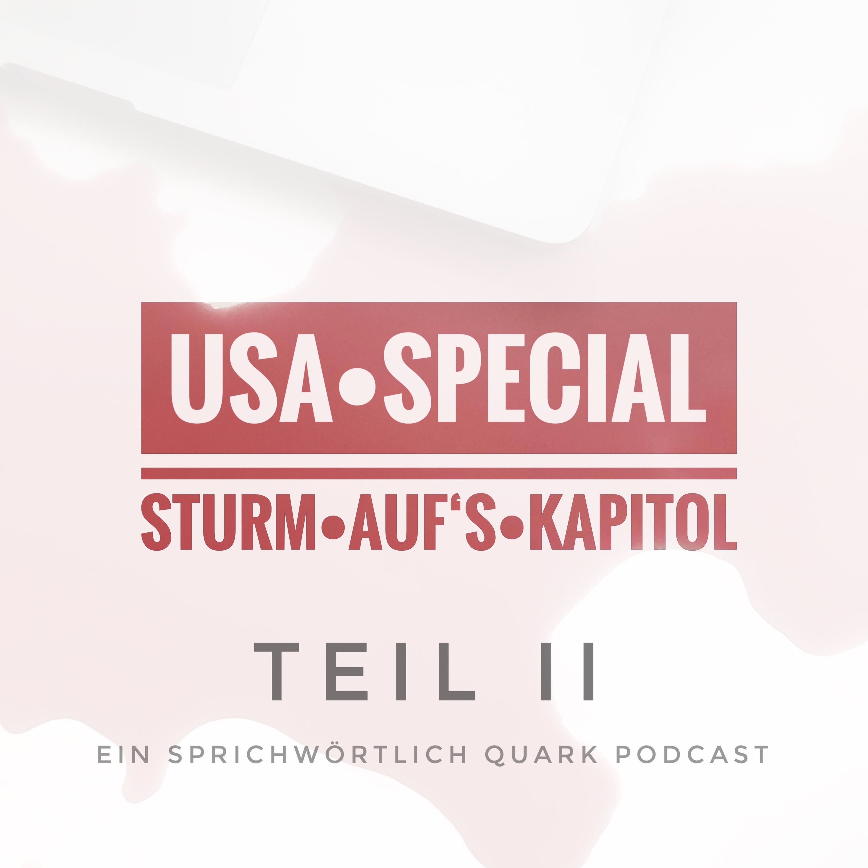Sturm auf's Kapitol (2/2) | USA Special