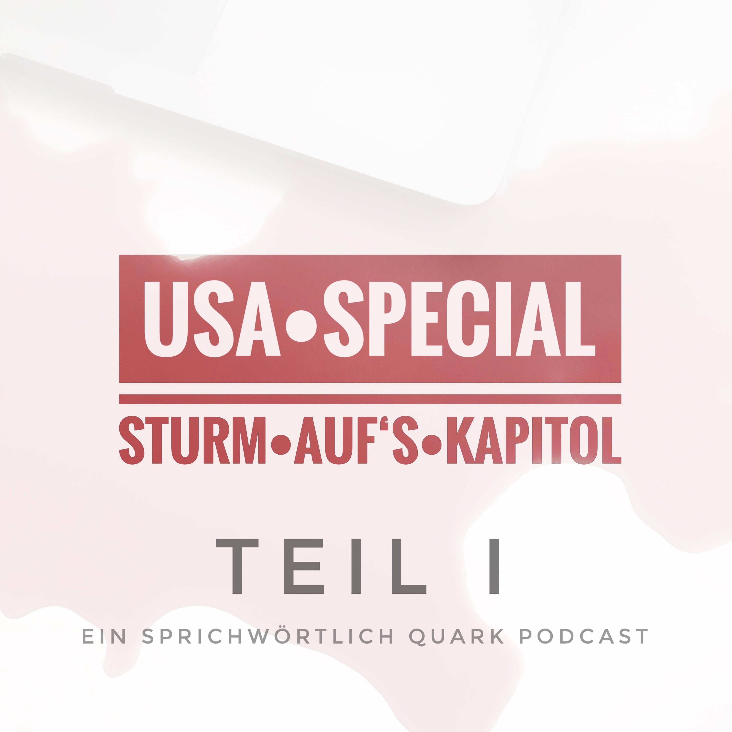 Sturm auf's Kapitol (1/2) | USA Special