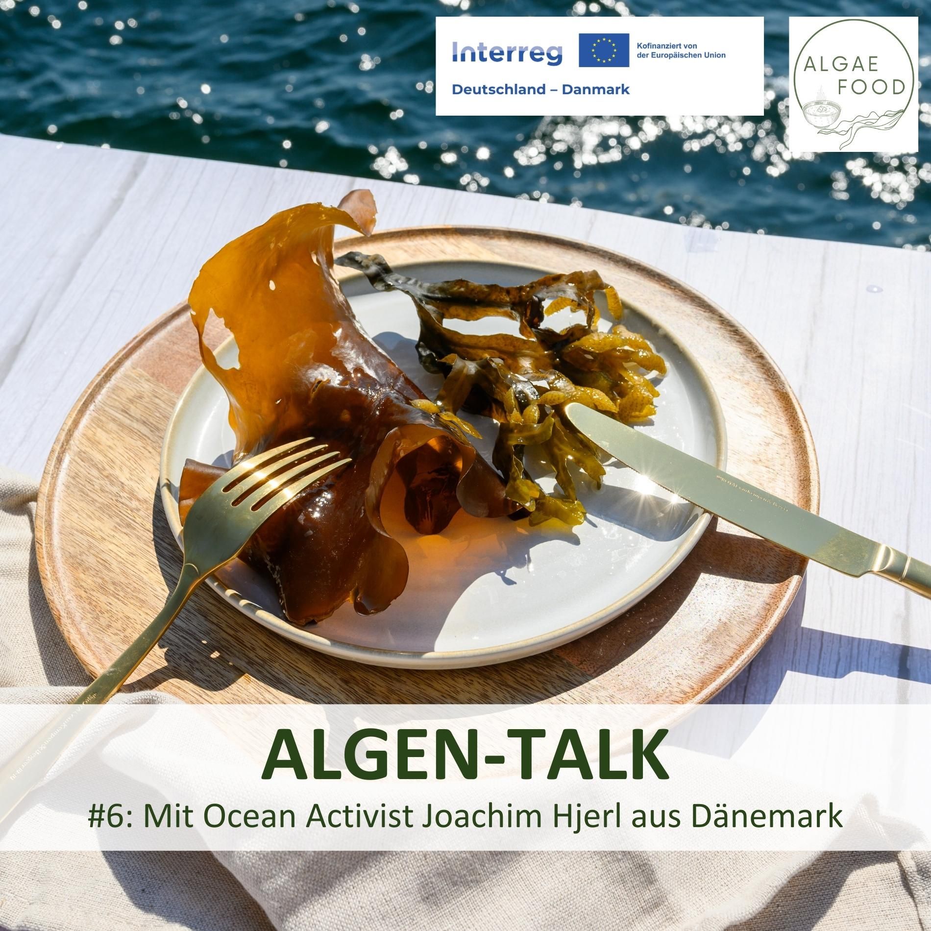 #6: Mit Ocean Activist Joachim Hjerl aus Dänemark