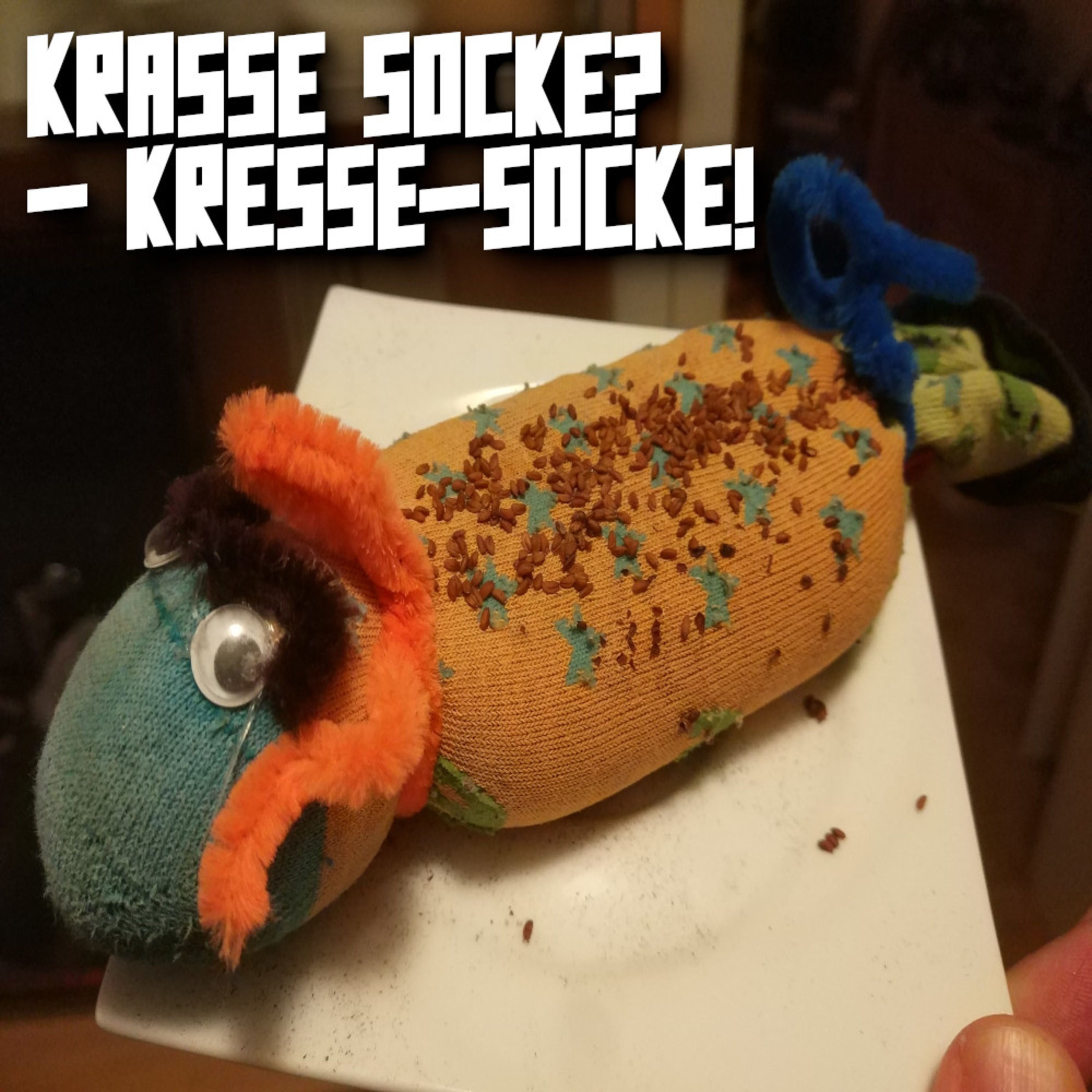 Tauchsieder ahoi! (AZ-Datum: 1.4.2020)