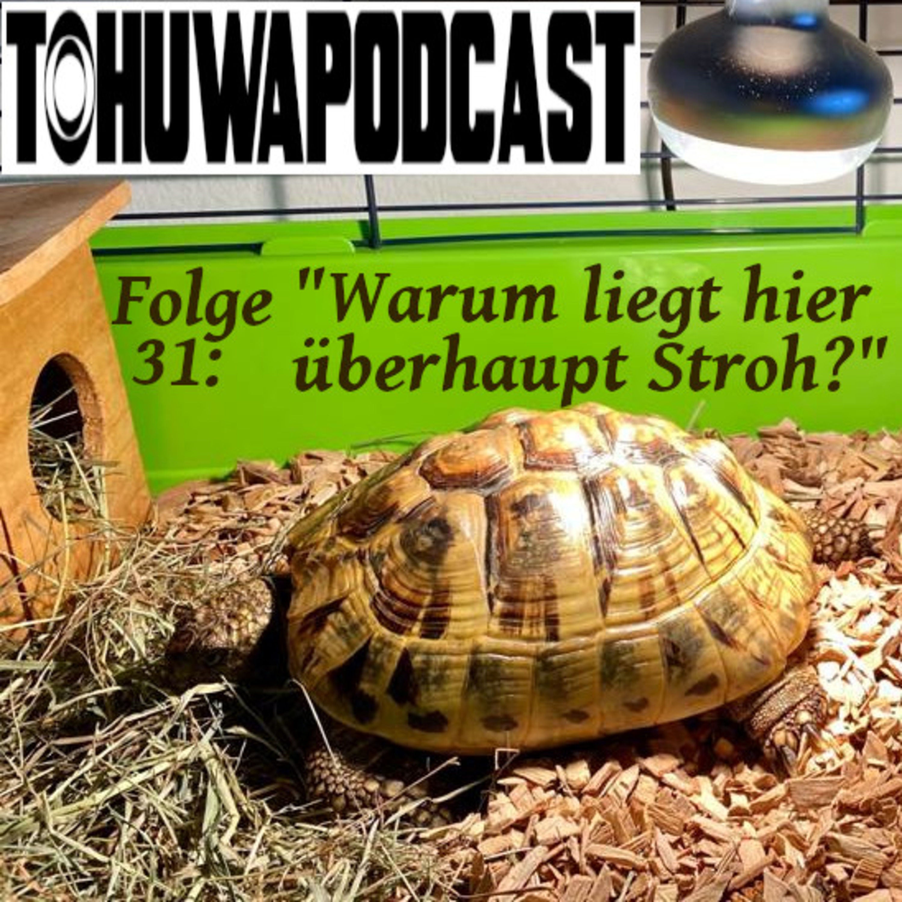 Warum liegt hier überhaupt Stroh? (AZ-Datum: 15.4.2021)