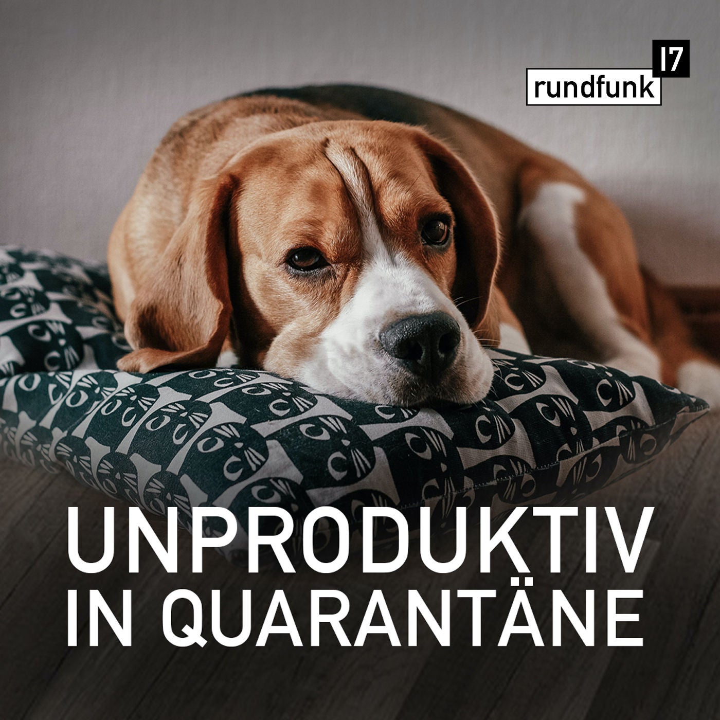 Verwahrlost zu Hause – #rundfunk17 Folge 109
