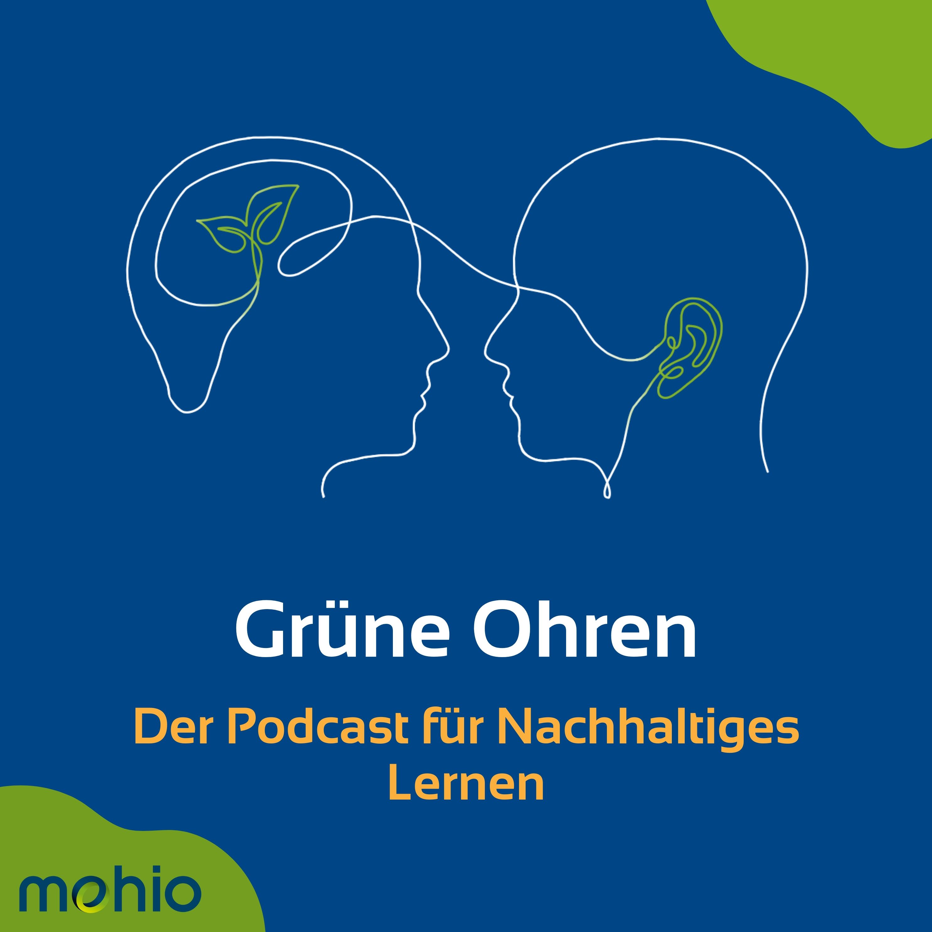 Trailer - Los geht's!