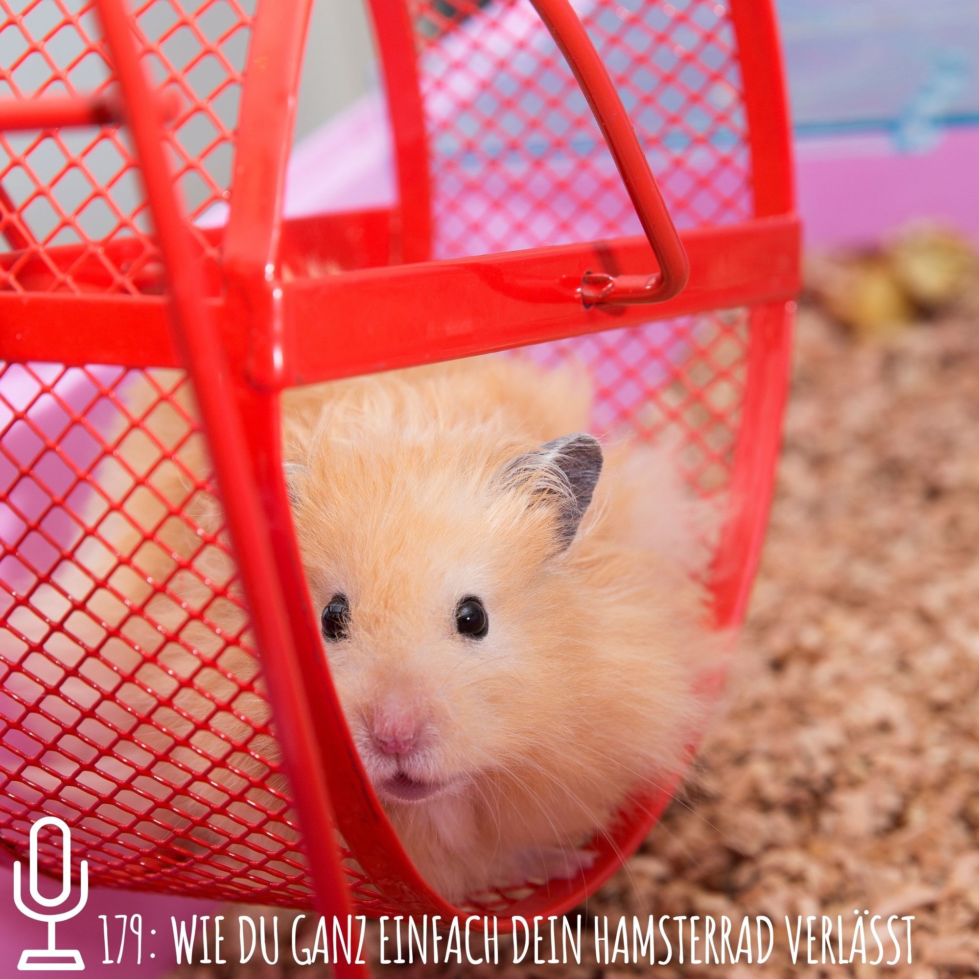 179: Wie du ganz einfach dein Hamsterrad verlässt