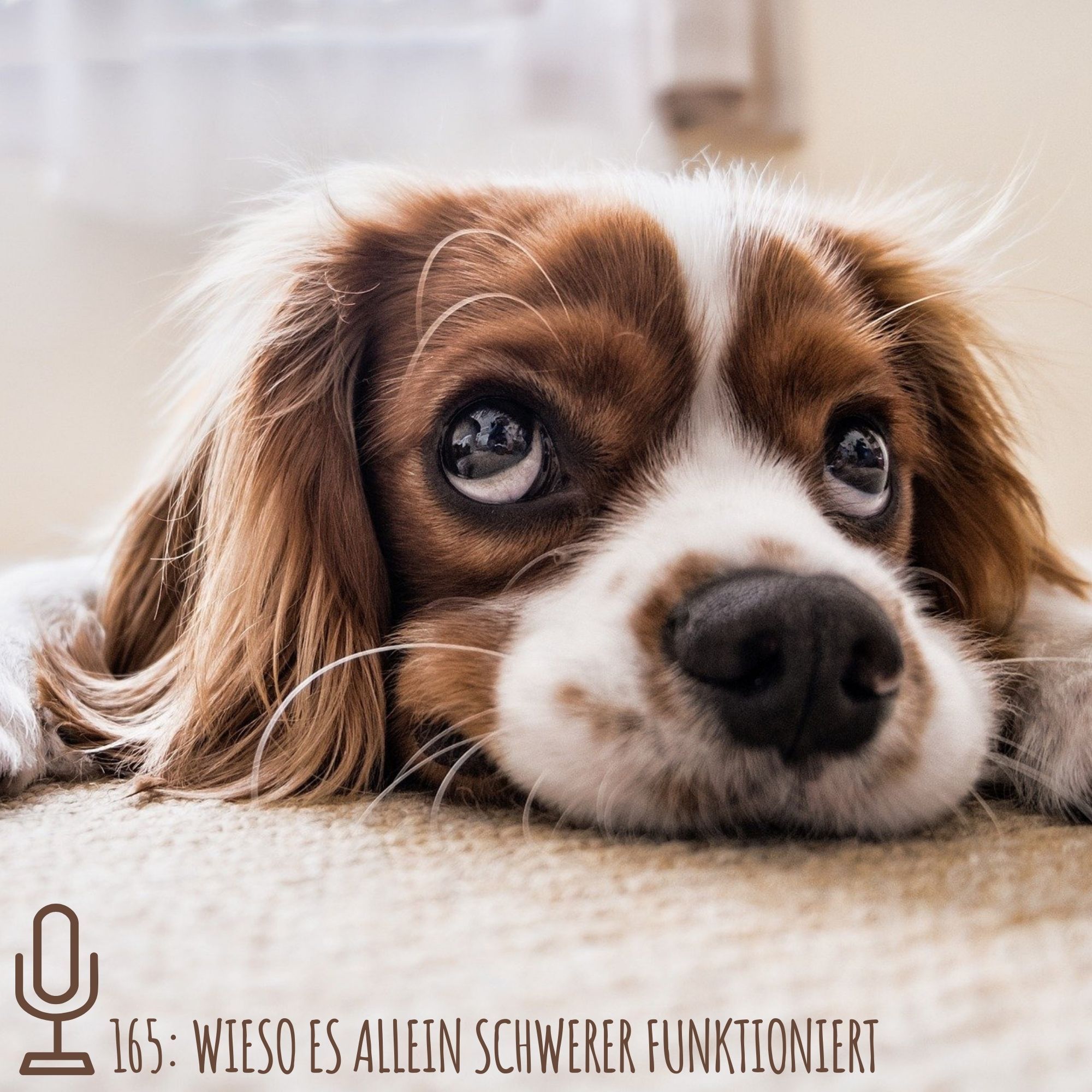 165: Wieso es allein schwerer funktioniert