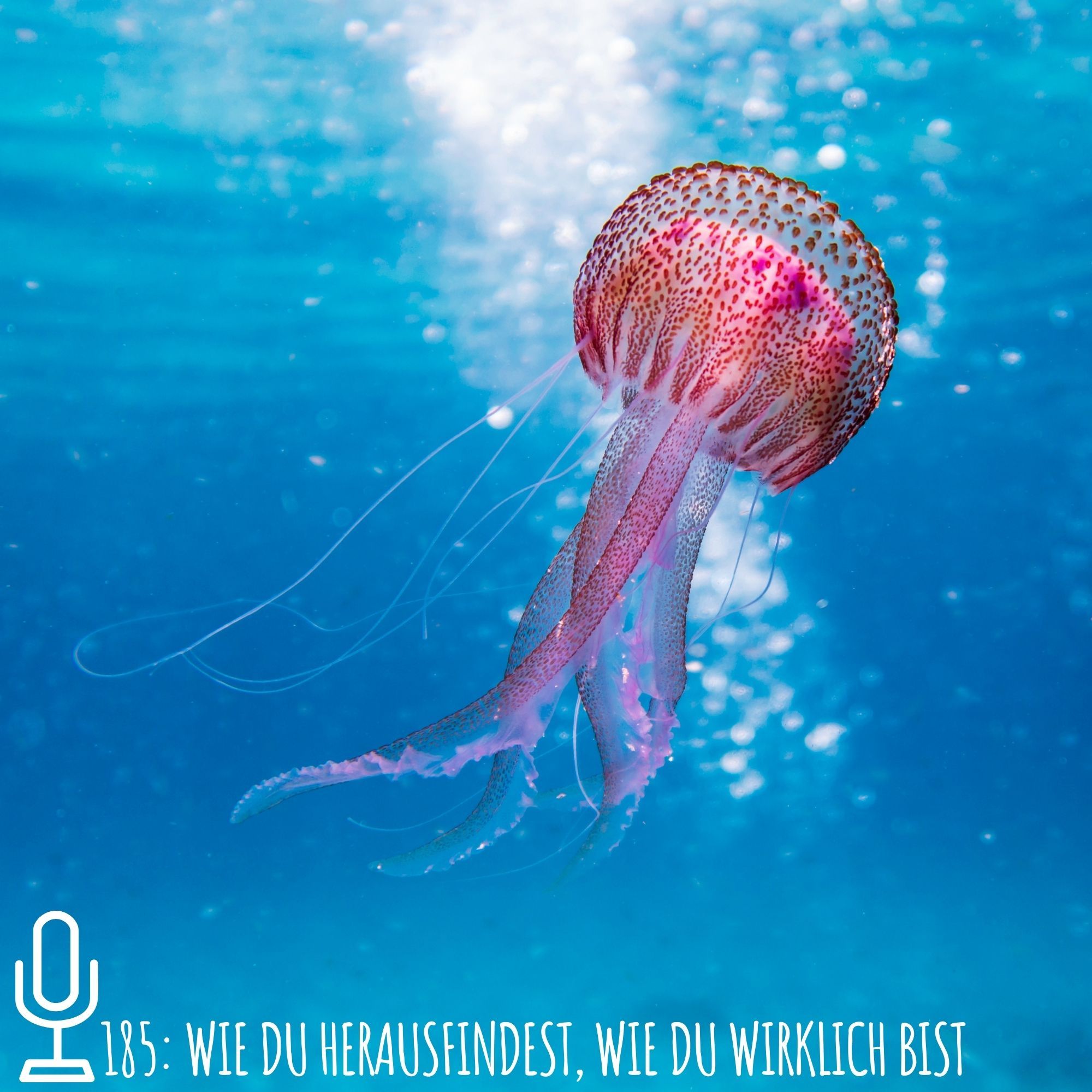 185: Wie du herausfindest, wie du wirklich bist
