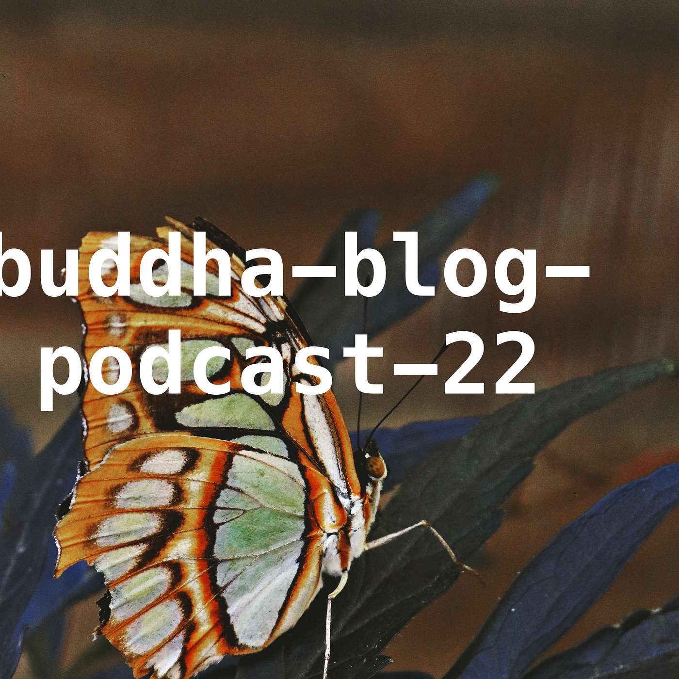 Was wird werden?-Buddha-Blog-Podcast-22-Buddhismus im Alltag