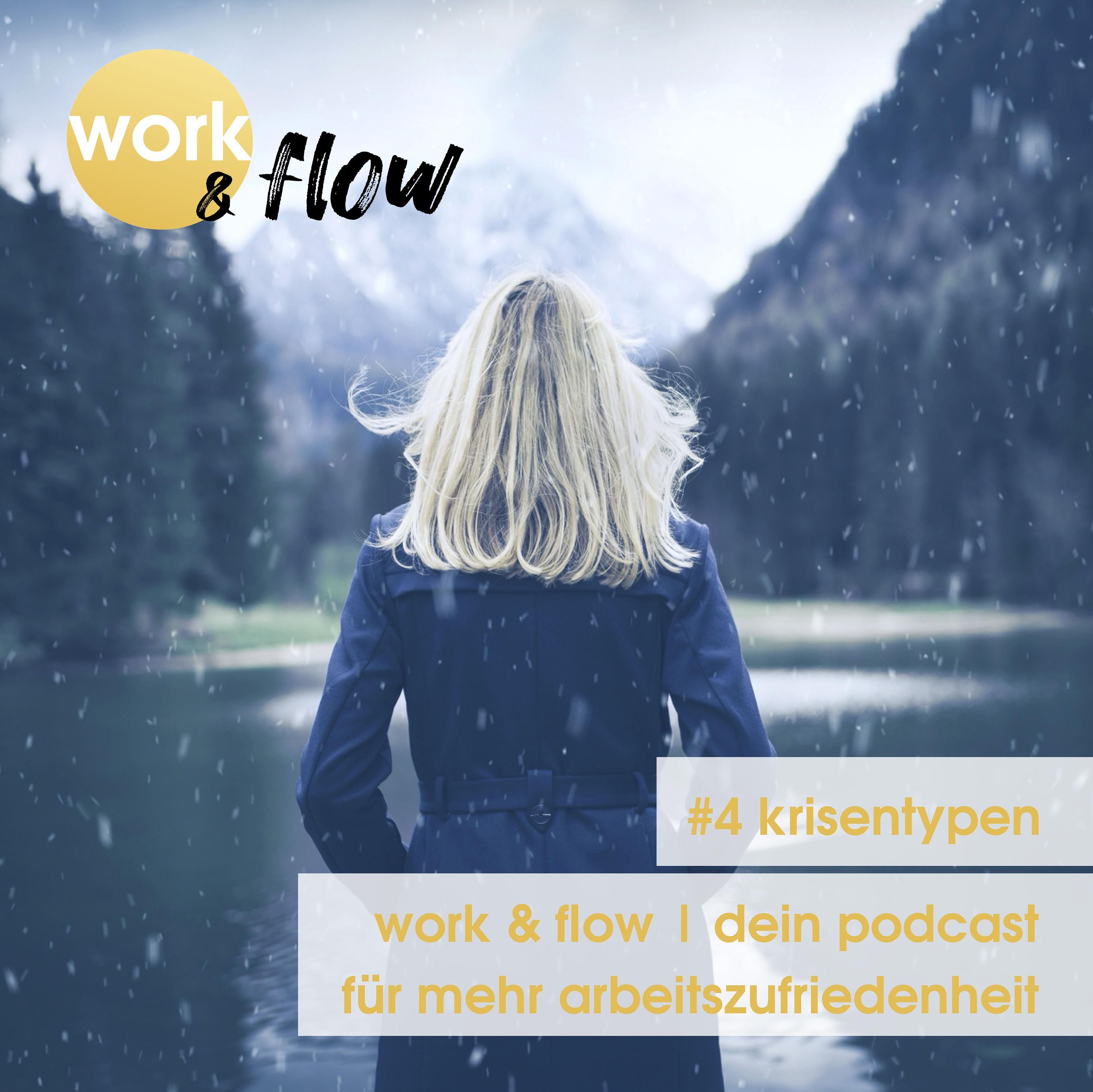 #4 Krisentypen