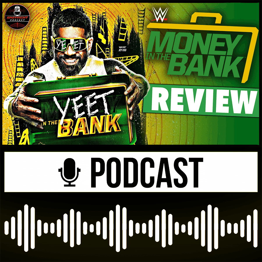 Money in the Bank 2024 ⭐️ Screw McIntyre, John Cena hört auf! - WWE Review/Rückblick