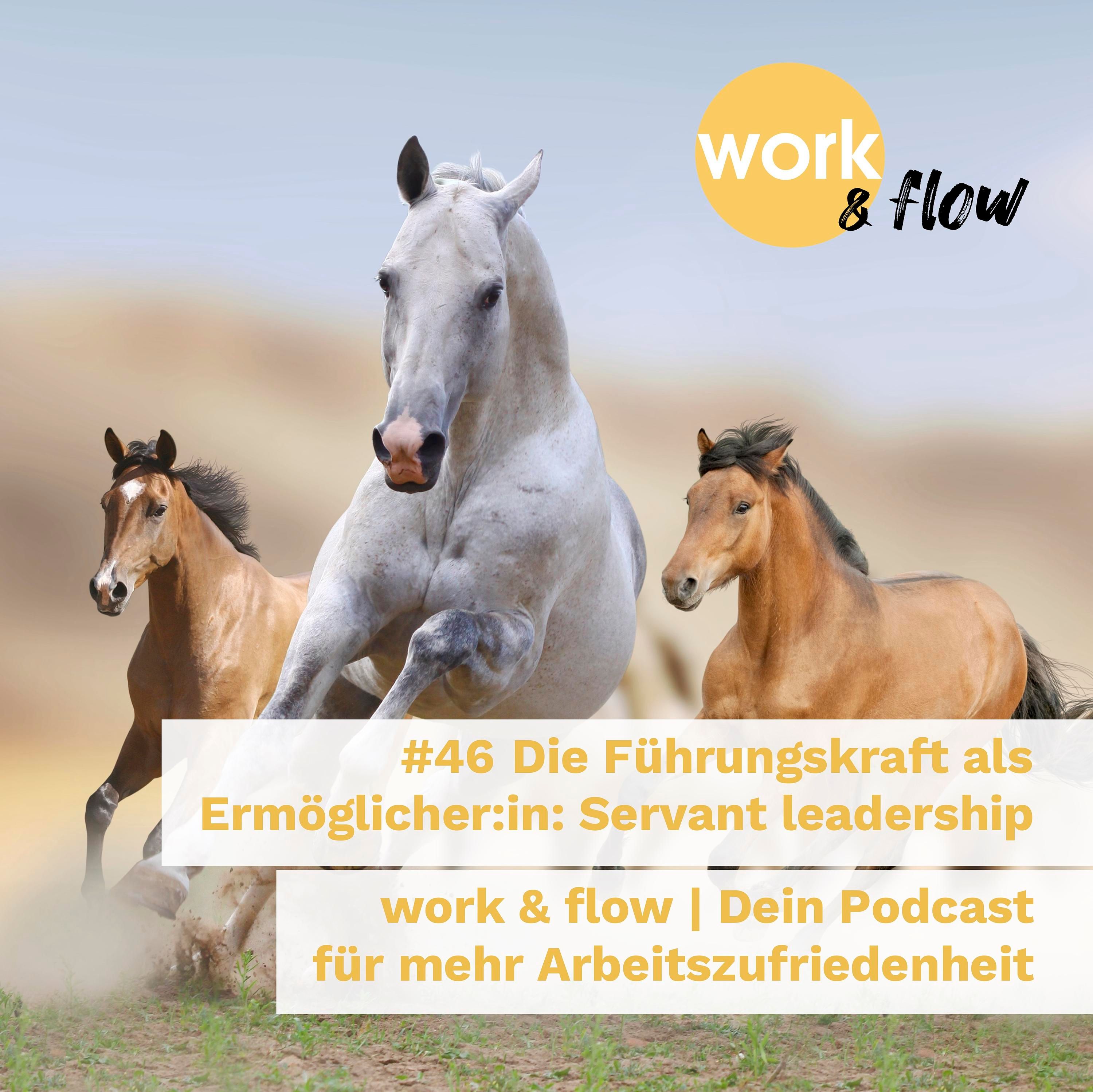 #46 Die Führungskraft als Ermöglicher:in: Servant Leadership