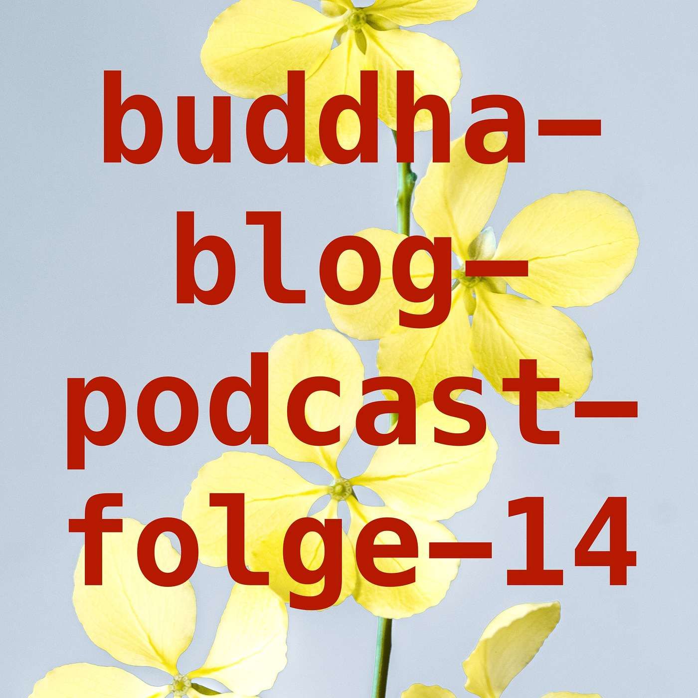Wie im Nebel- Buddha-Blog-Podcast-14-Buddhismus im Alltag