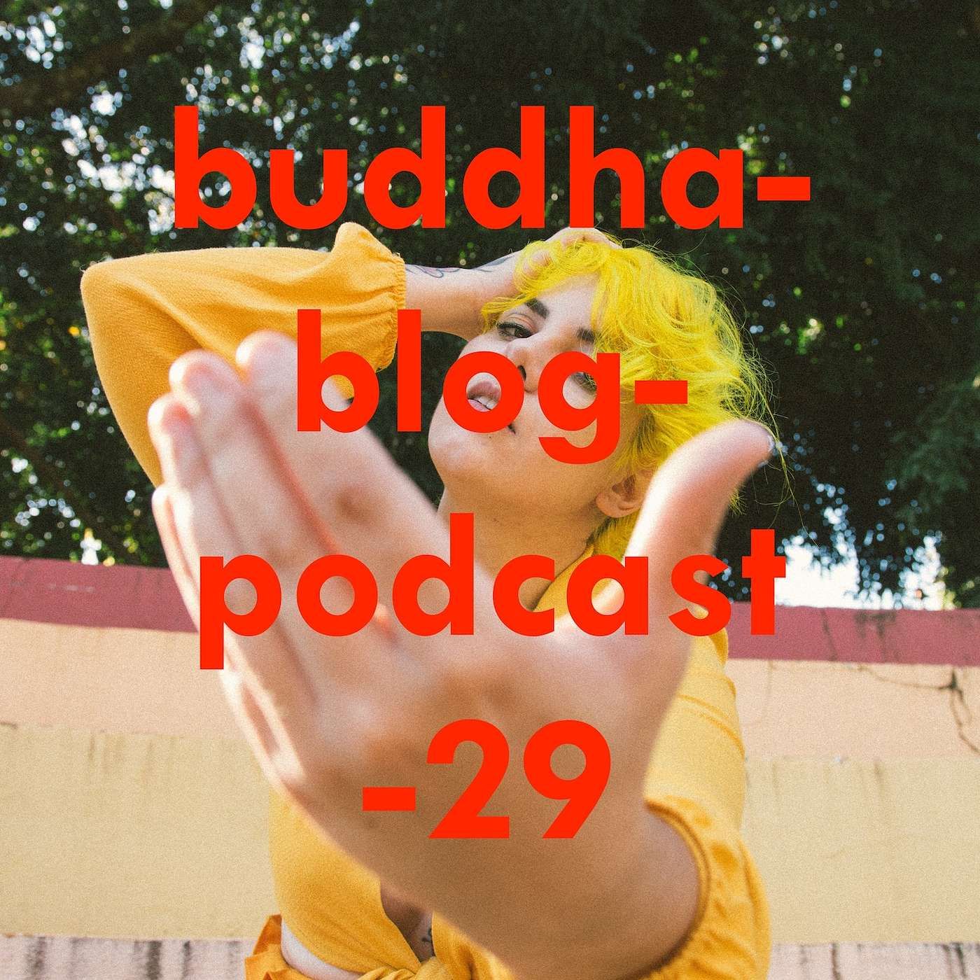 Bedingungslose Liebe-Buddha-Blog-Podcast-29-Buddhismus im Alltag