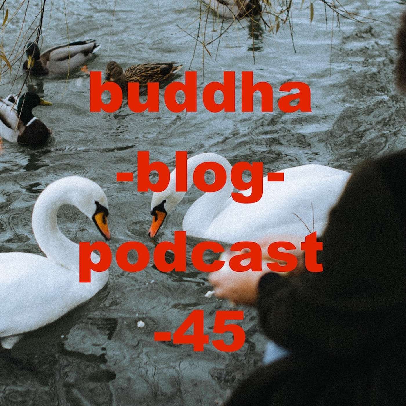 45-Die eigenen Probleme angehen-Buddha-Blog-Podcast-Buddhismus im Alltag