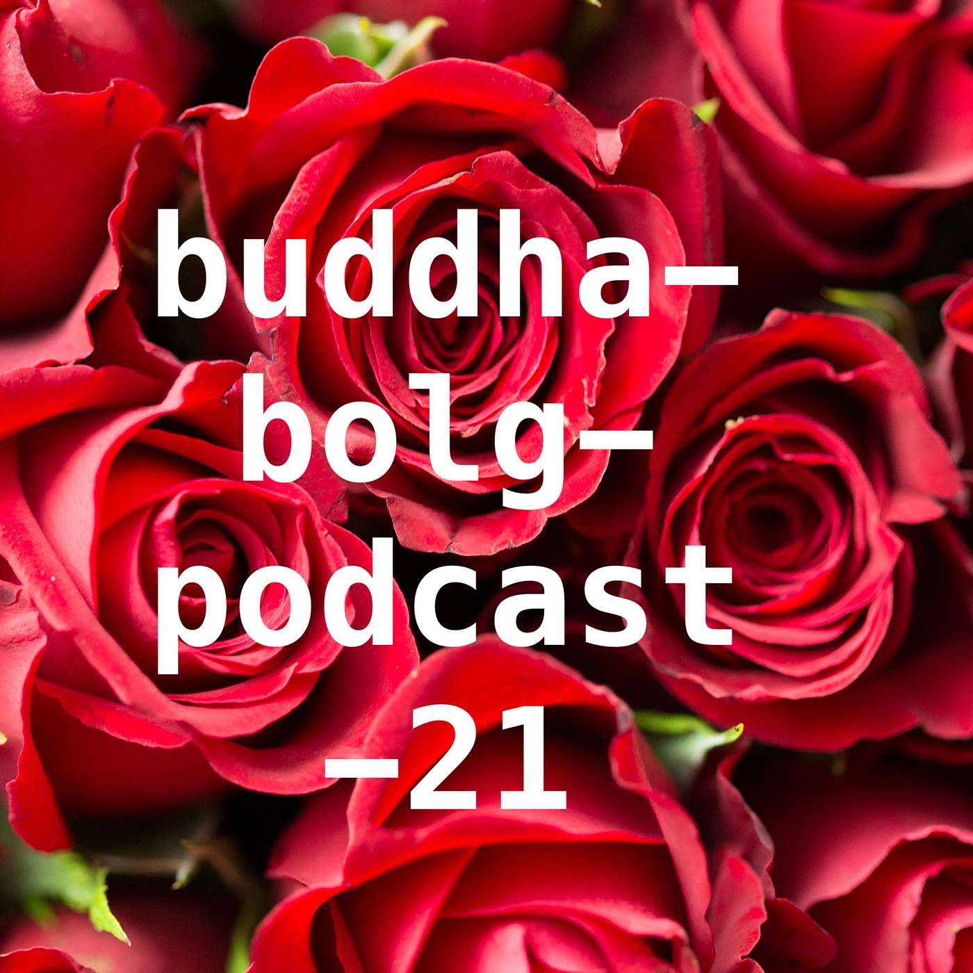 Das Loslassen fällt schwer-Buddha-Blog-Podcast-21-Buddhismus im Alltag