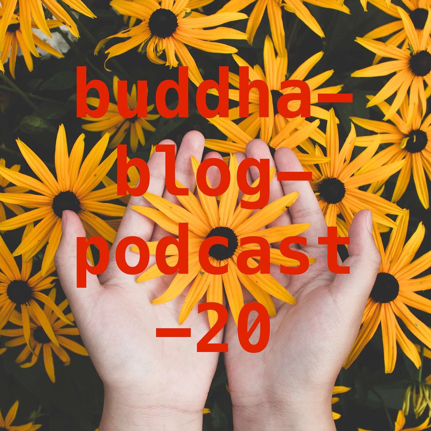 Das Ich ist eine Illusion-Buddha-Blog-Podcast-20-Buddhismus im Alltag