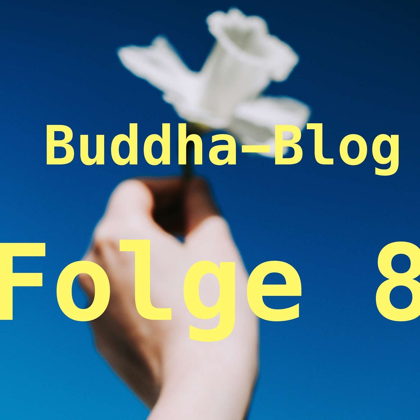 Ständig "suchen" wir-Buddha-Blog-Podcast-08