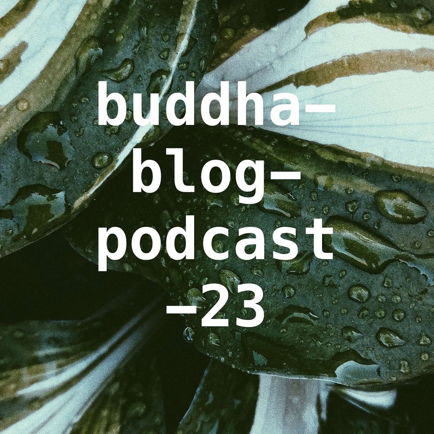 Erkläre mir das Nirvana-Buddha-Blog-Podcast-23-Buddhismus im Alltag