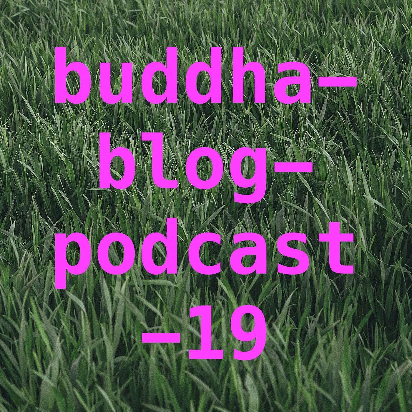 Komatraum-Buddha-Blog-Podcast-19-Buddhismus im Alltag
