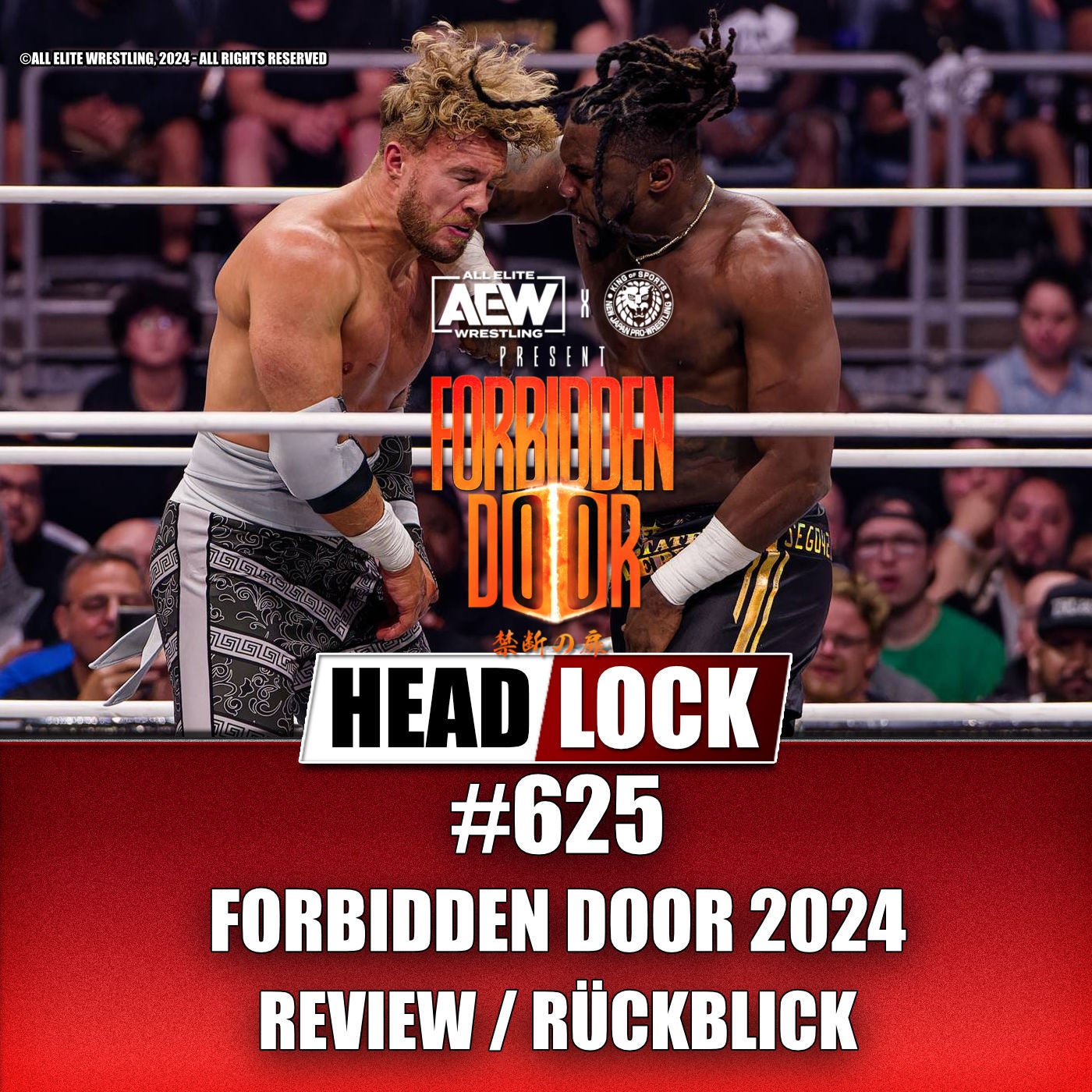 #625: Forbidden Door 2024 (REVIEW / RÜCKBLICK) - TITELWECHSEL, EMOTIONEN UND COMEBACKS!
