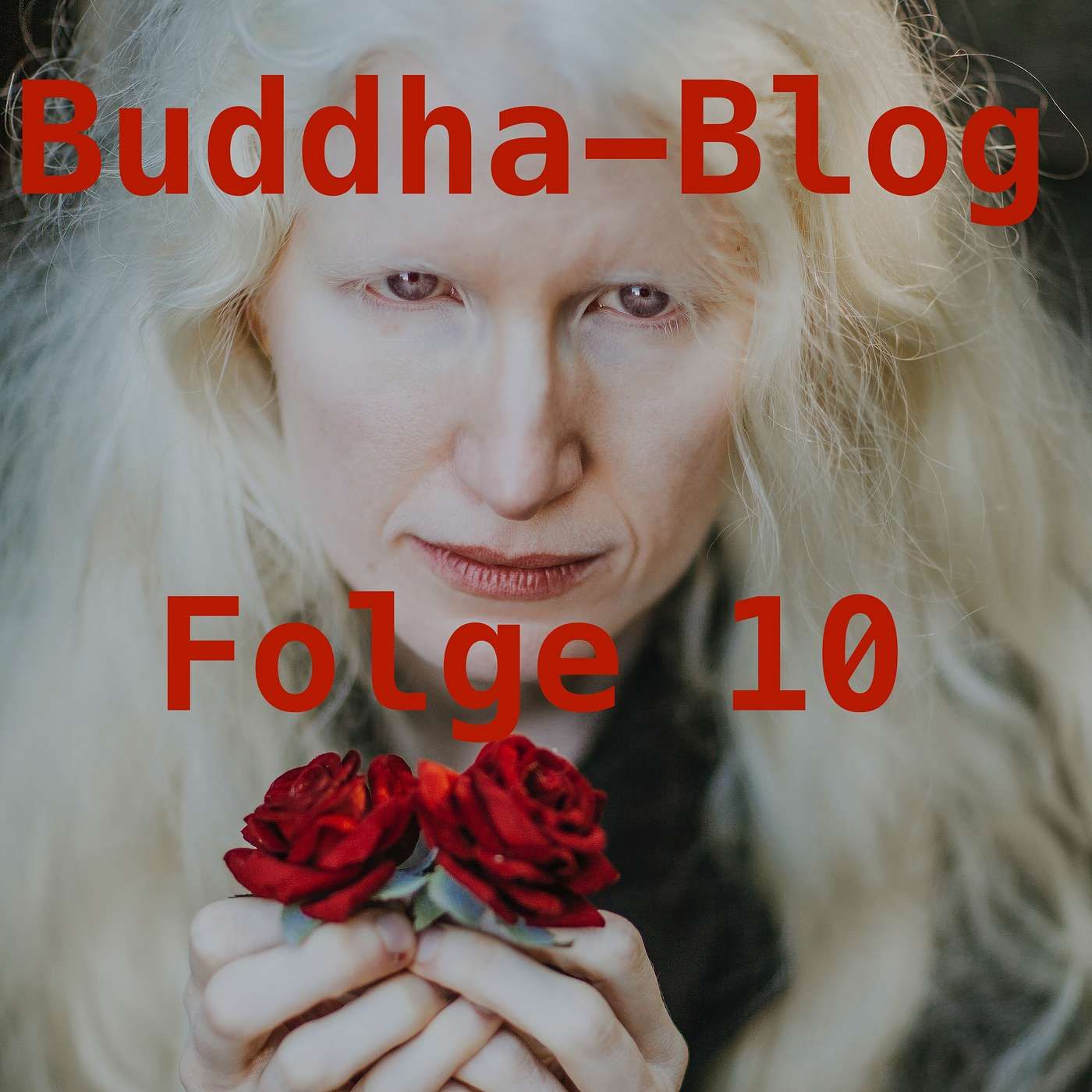 Nur noch im "Jetzt" leben-Buddha-Blog-Podcast-10
