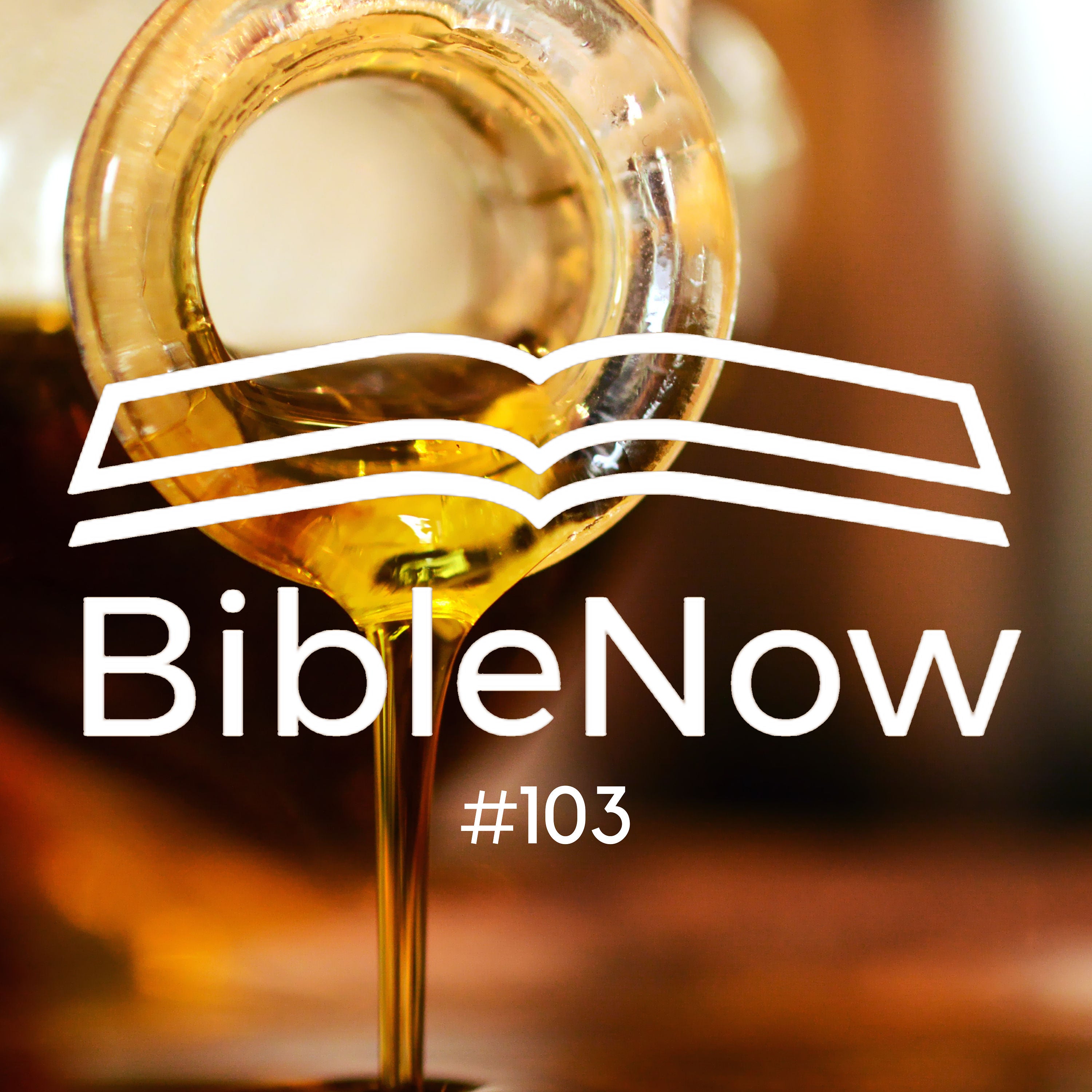 BibleNow #103: 3. Mose 8,1-13