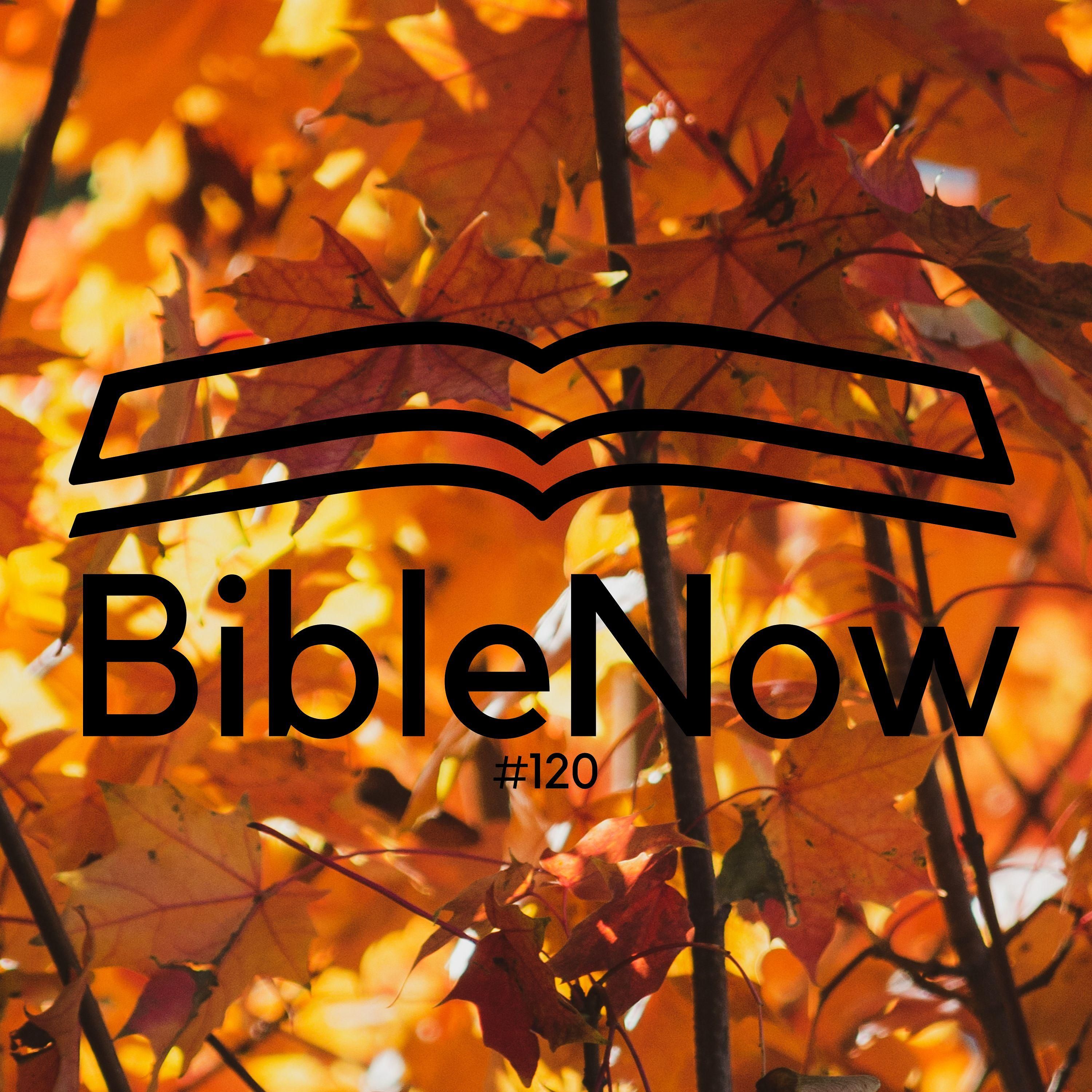 BibleNow #120: 3. Mose 23,26-24,16