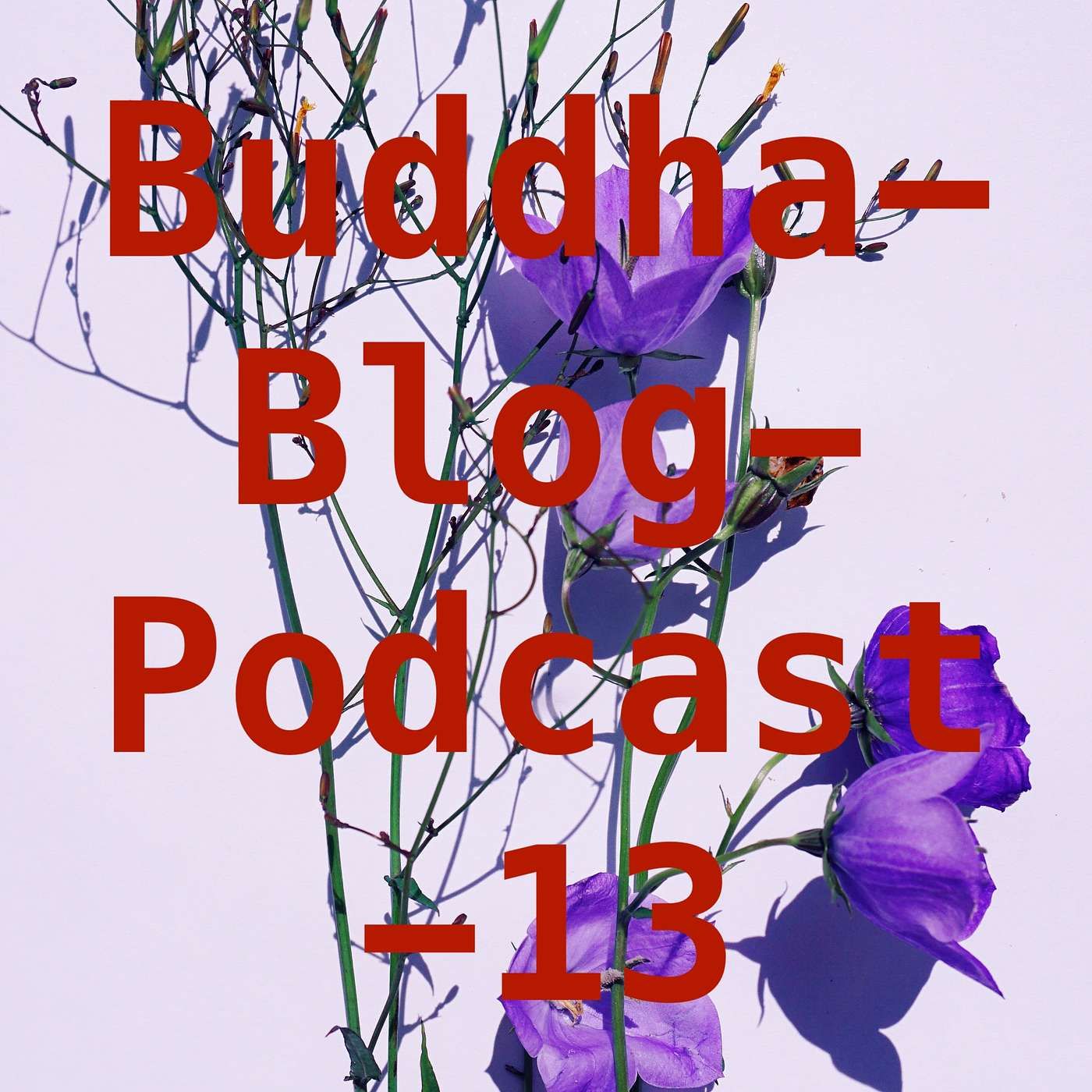 Die Reise zum "Selbst"- Buddha-Blog-Podcast-13-Buddhismus im Alltag