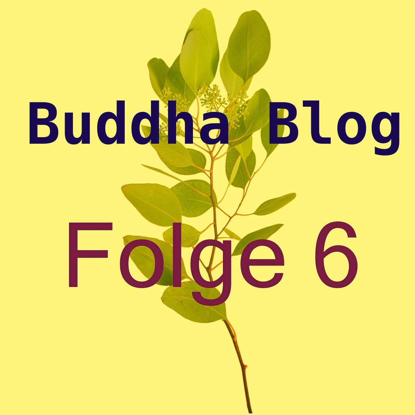 Ursache von Unglück-Buddha-Blog-Podcast-06