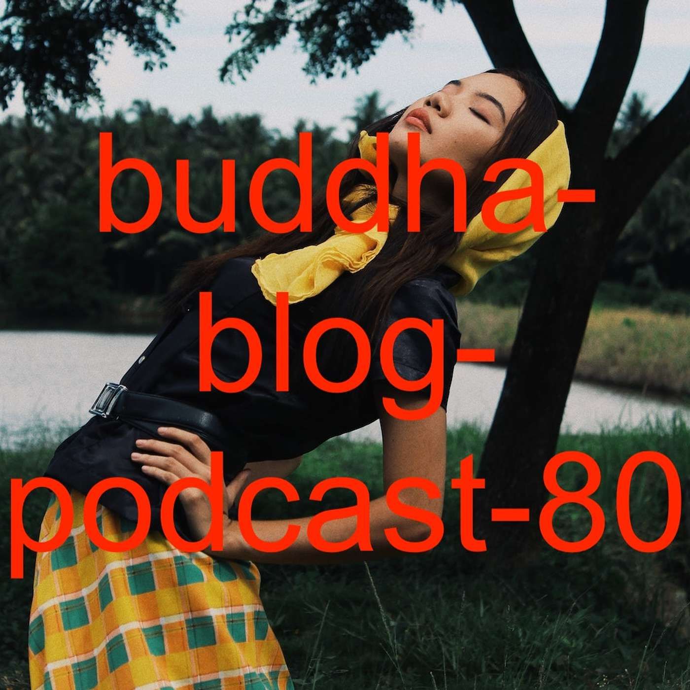 80-Das Greifen nach Wind-Buddha-Blog-Podcast-Buddhismus im Alltag